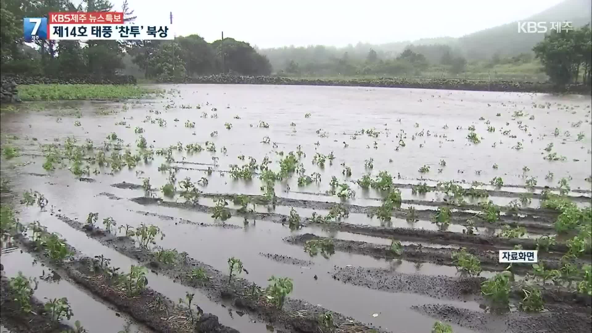 [특보] 폭우에 농작물 피해 우려…서귀포시 대정읍 상황은?