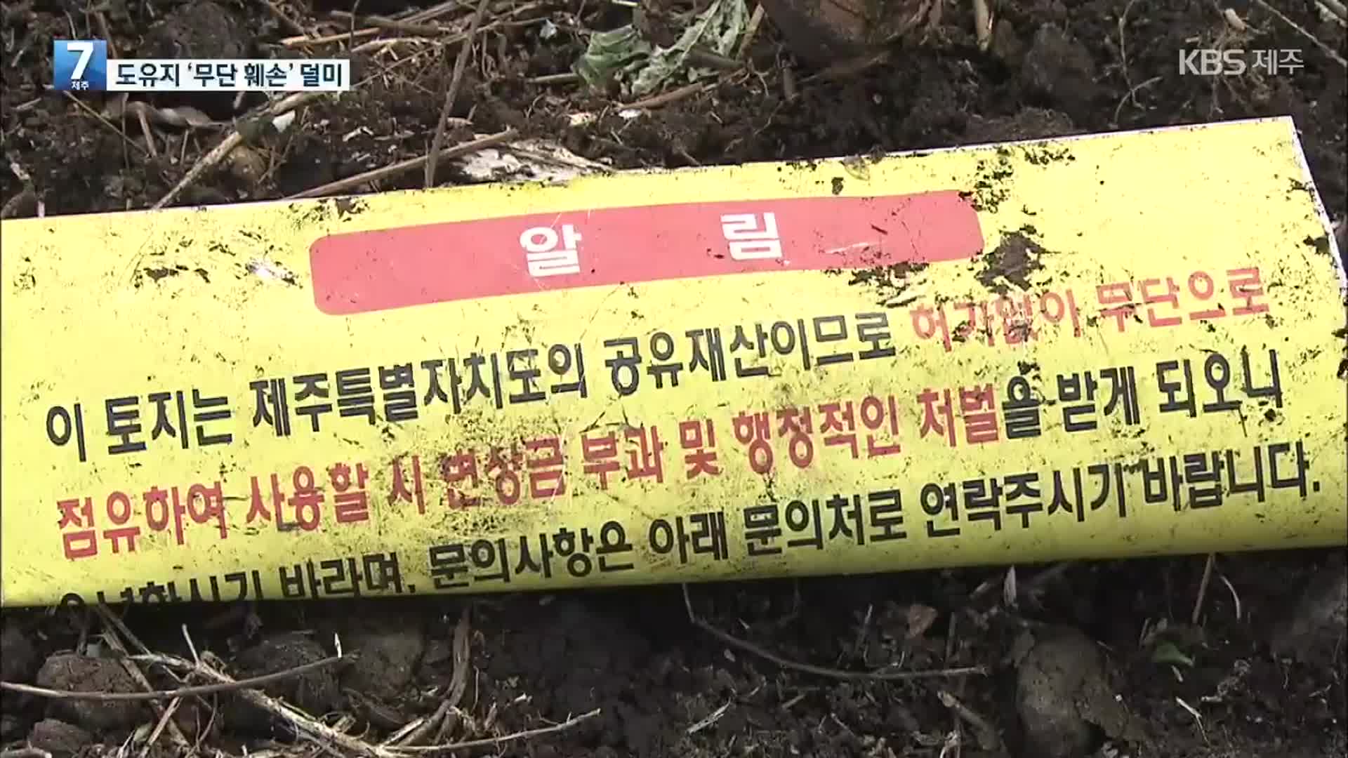 제주 도유지 사용 허가 받기도 전에 무단 훼손