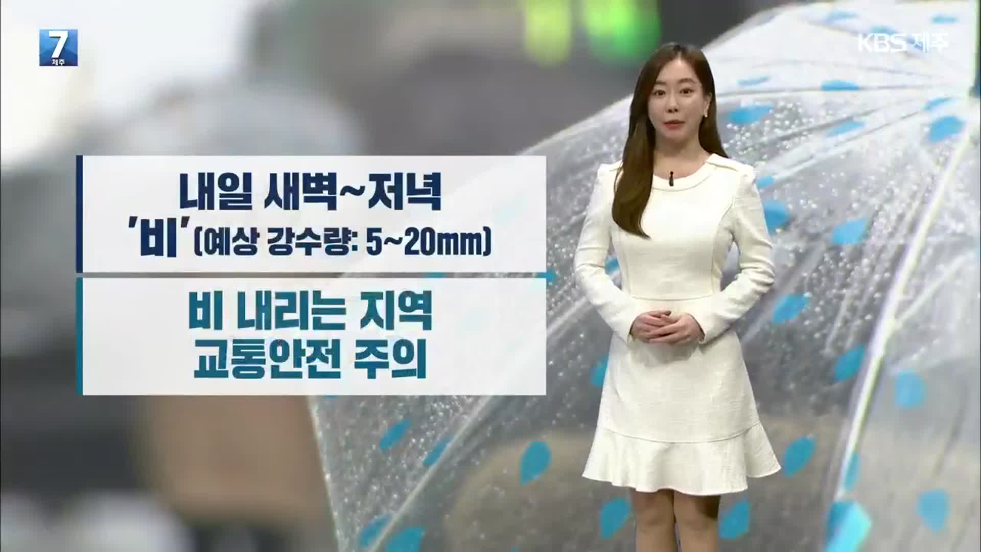 [날씨] 제주 내일 새벽부터 5~20mm 비…교통 안전 주의