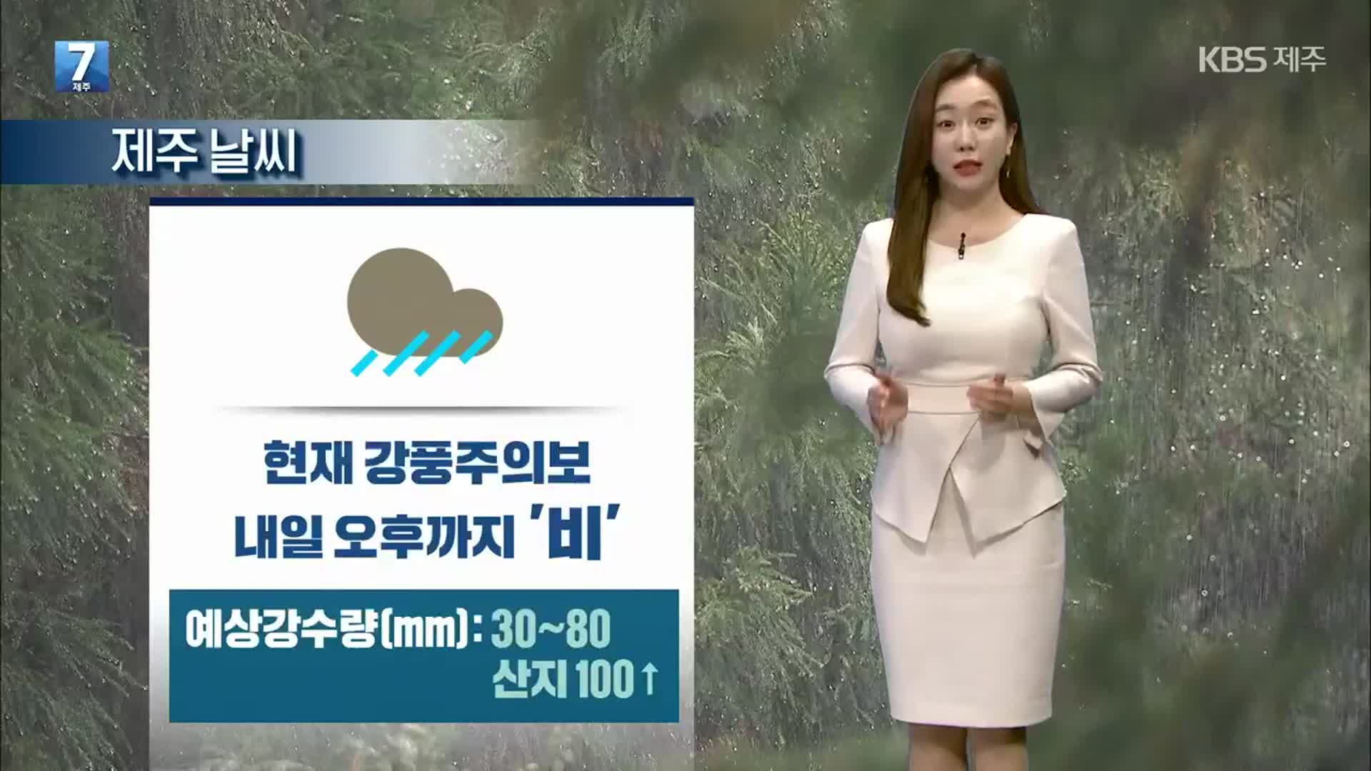 [날씨] 제주 강풍주의보…오늘 밤부터 곳곳 ‘강한 비’