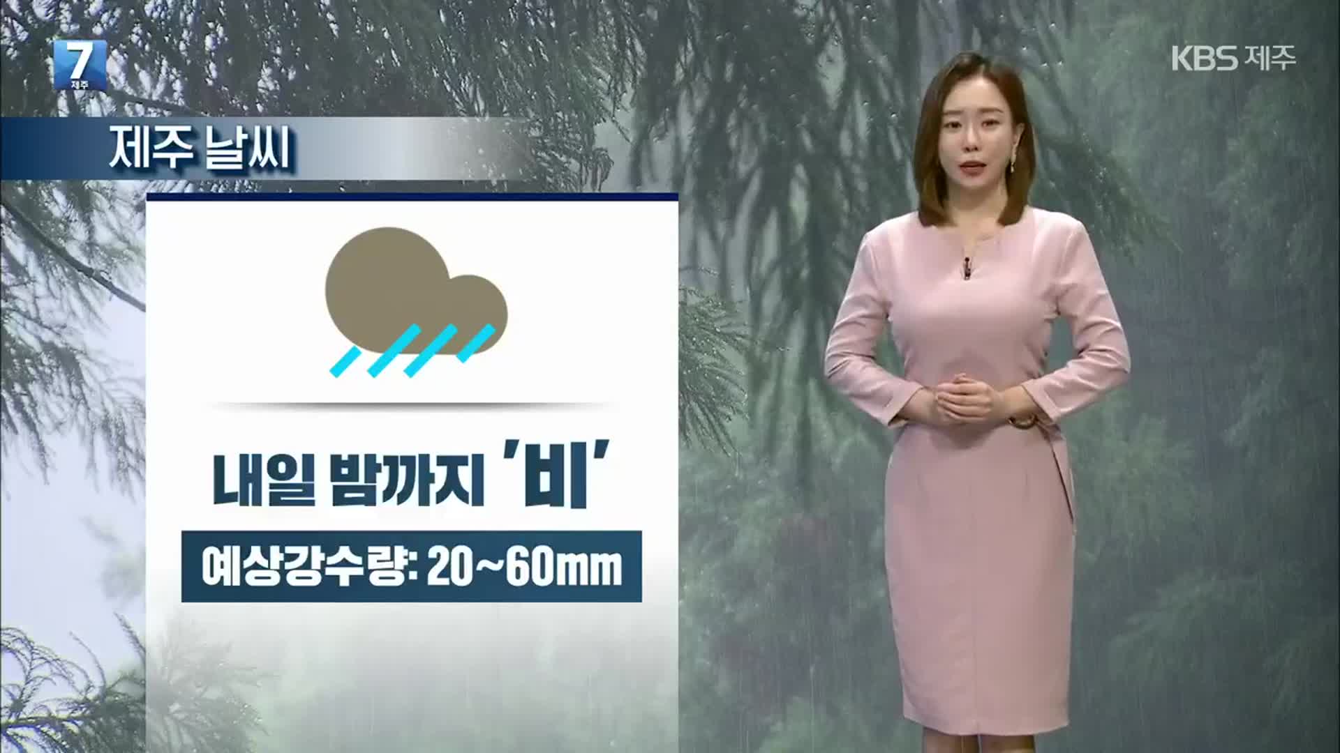[날씨] 제주 내일 밤까지 비 최대 60mm…바람 강해, 시설물 관리 유의