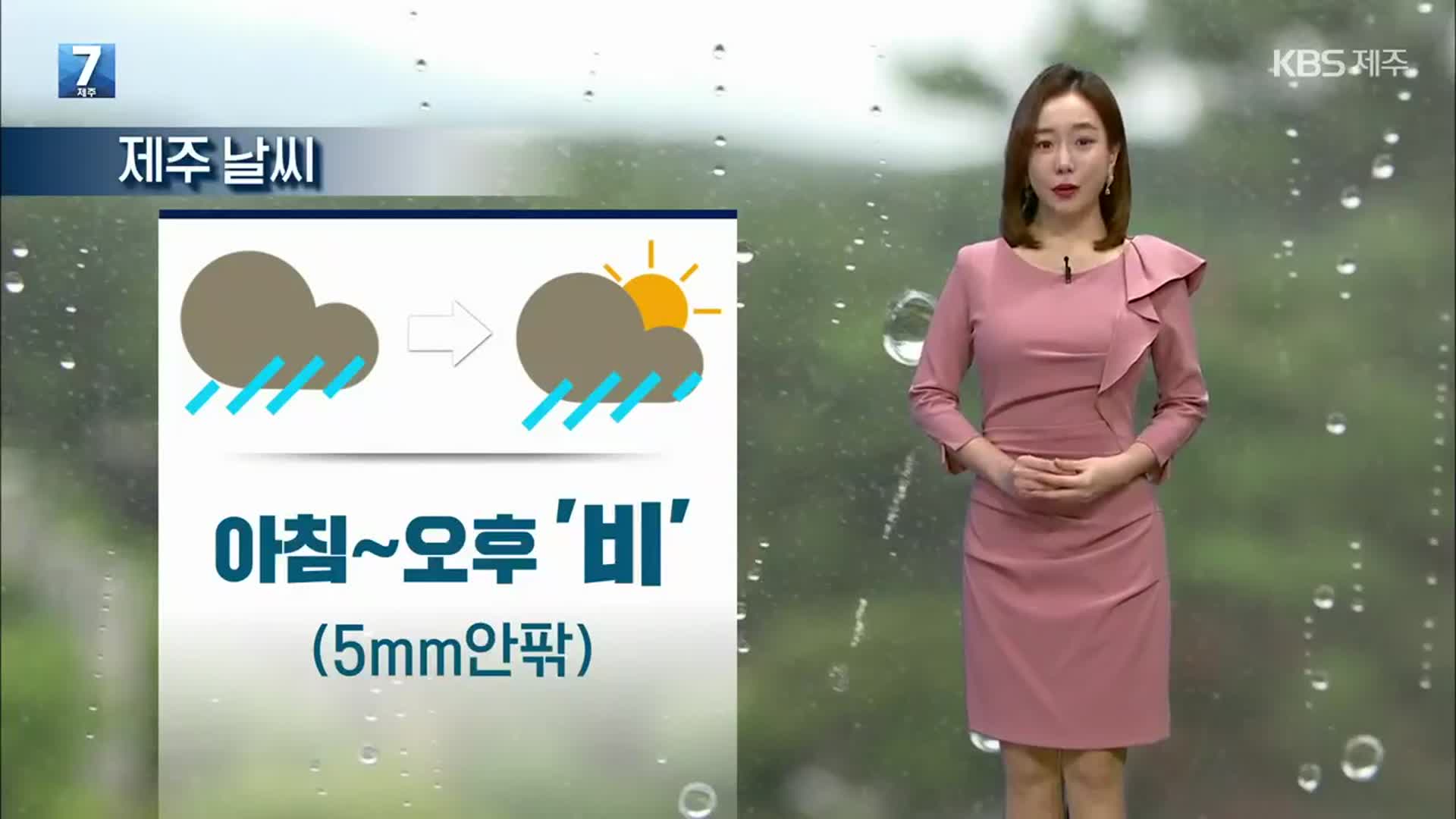 [날씨] 제주 내일 아침부터 5mm 안팎 비…낮 최고 19도