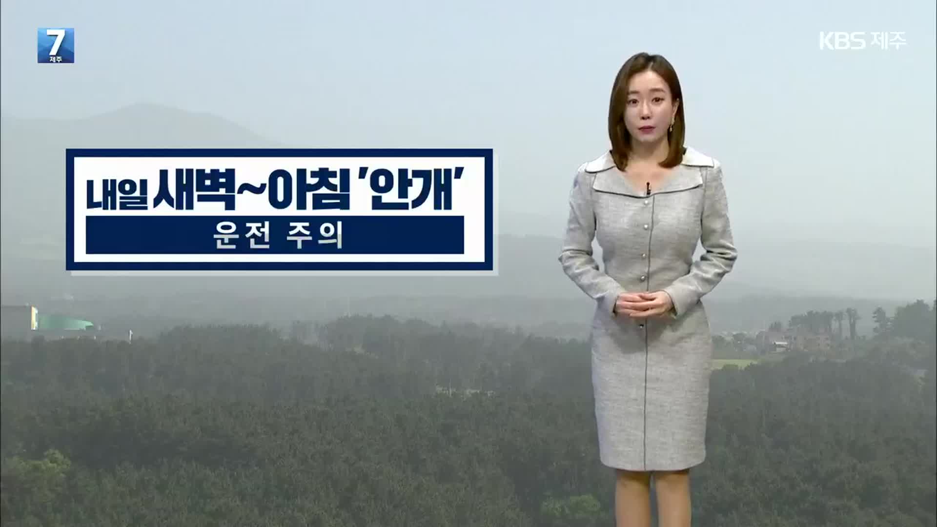 [날씨] 제주 내일 아침 짙은 ‘안개’…낮 최고 19도 안팎