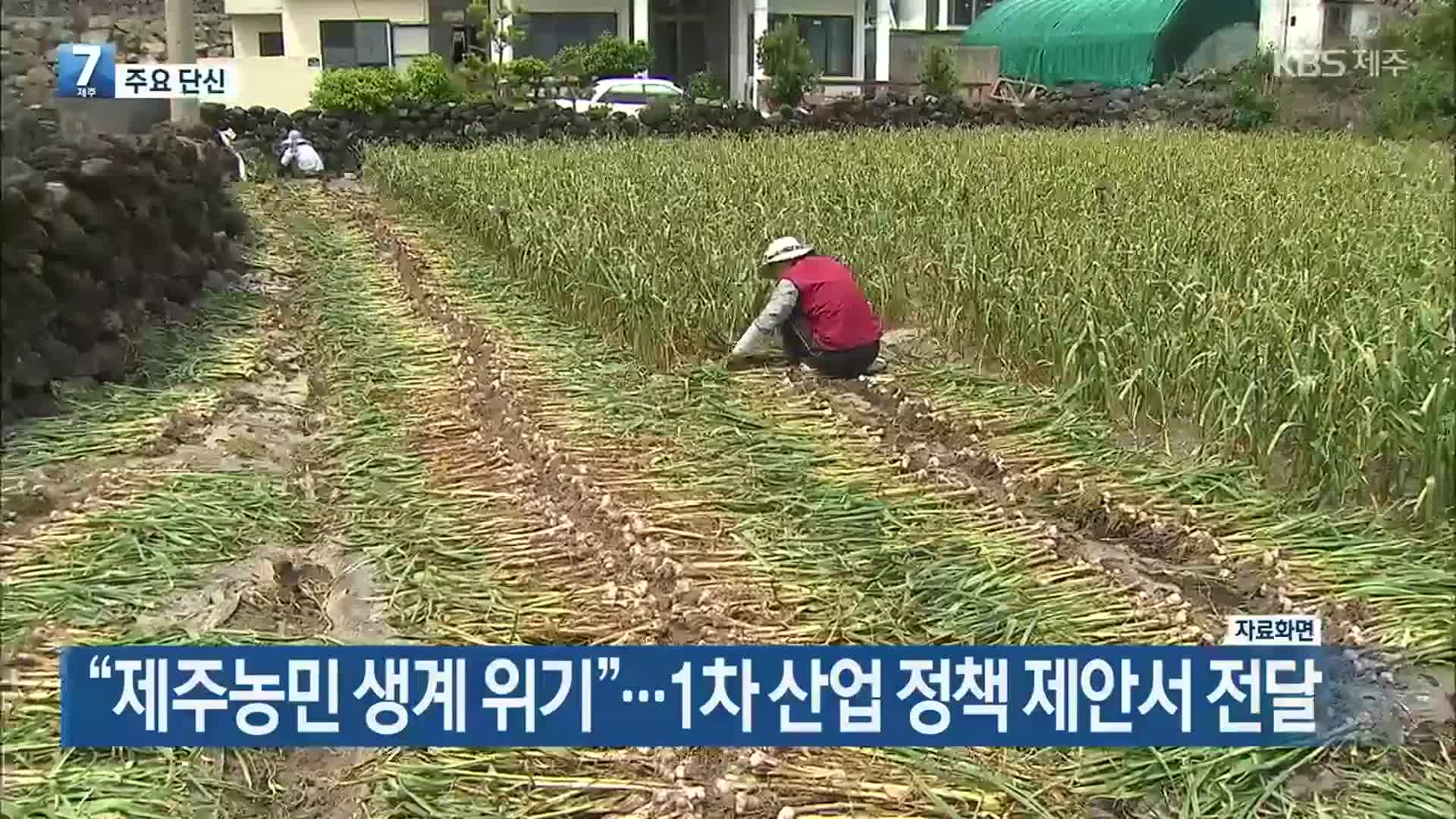 [주요 단신] “제주농민 생계 위기”…1차 산업 정책 제안서 전달 외