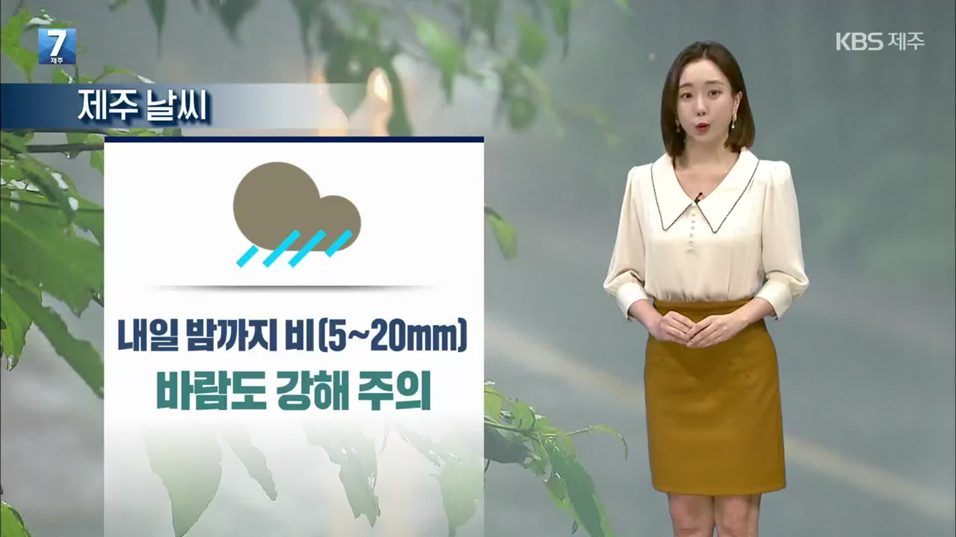 [날씨] 제주 내일 밤까지 최대 20mm 비…곳곳 ‘강풍 주의’
