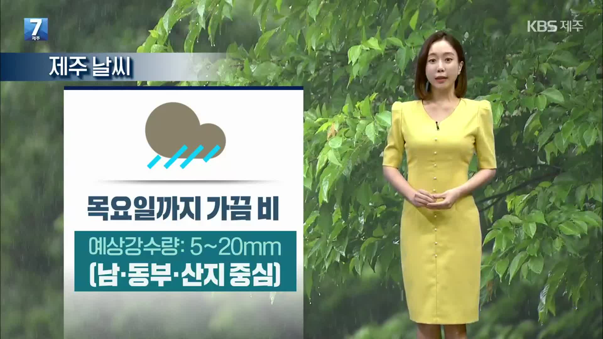 [날씨] 제주 장마 시작…목요일까지 가끔 비