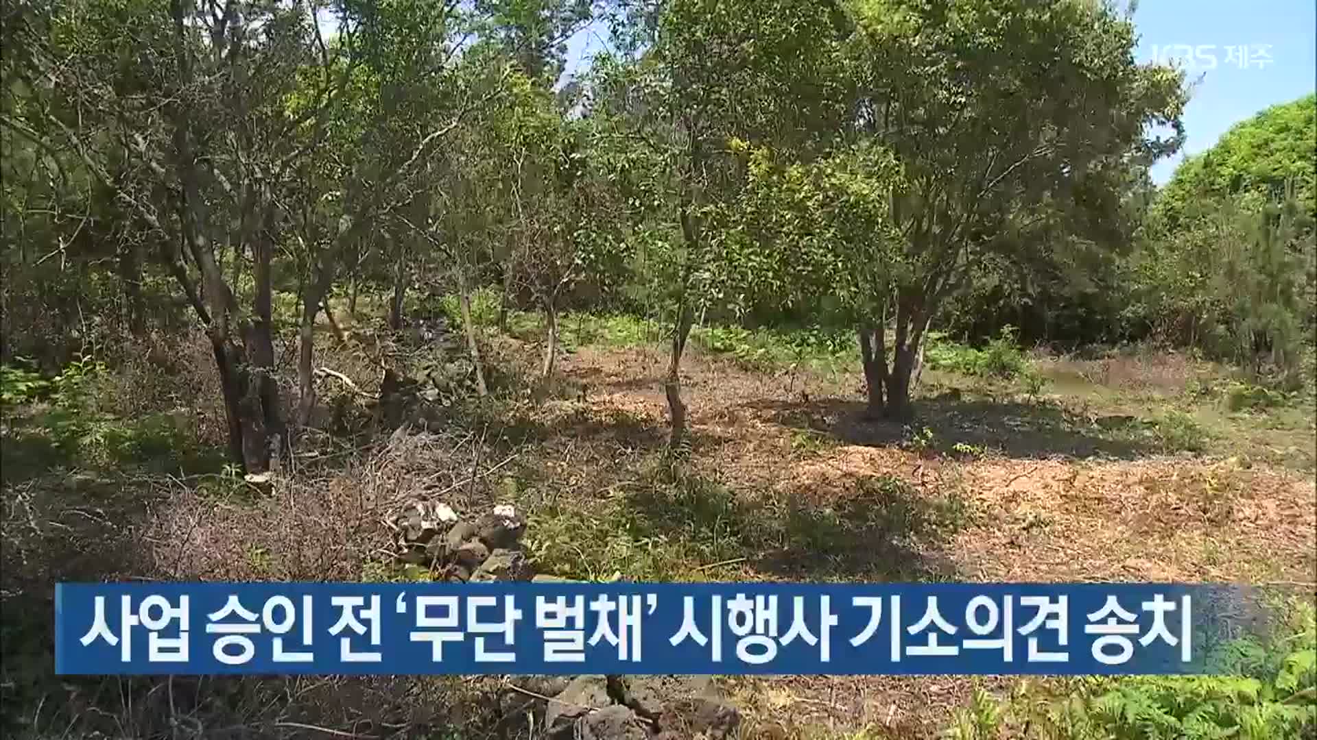 사업 승인 전 ‘무단 벌채’ 시행사 기소의견 송치