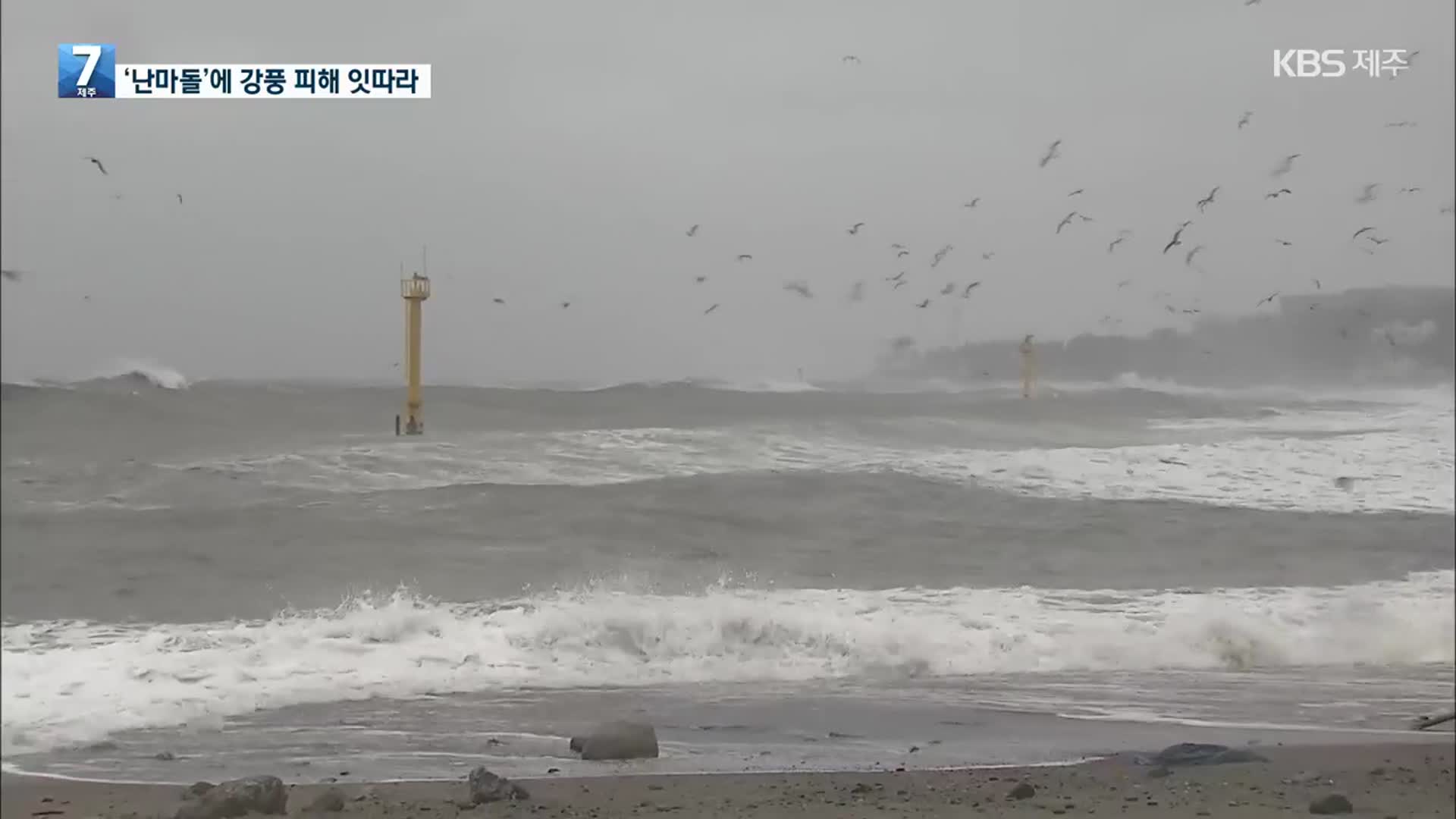 난마돌에 뜬눈 노심초사…곳곳 강풍피해