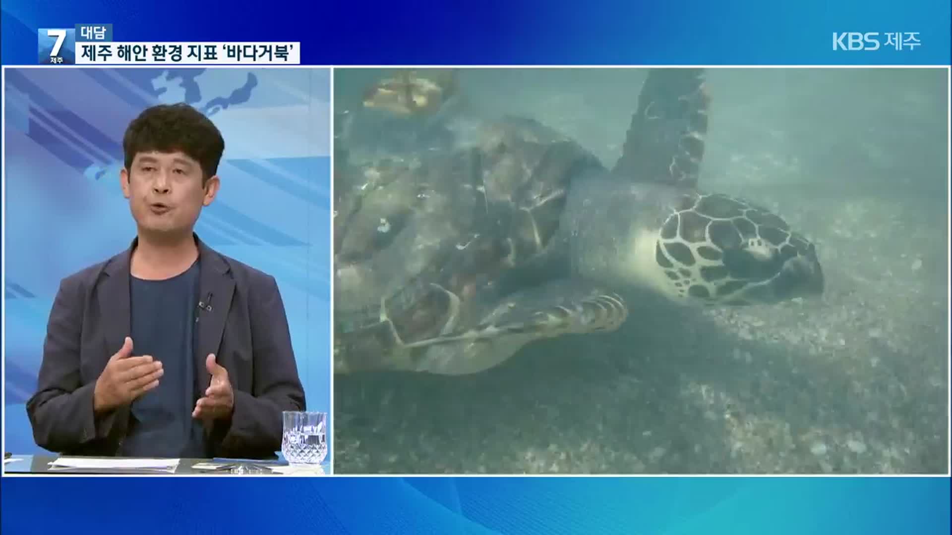[대담] 바다 환경의 지표 바다거북…제주 해안 문제를 짚다