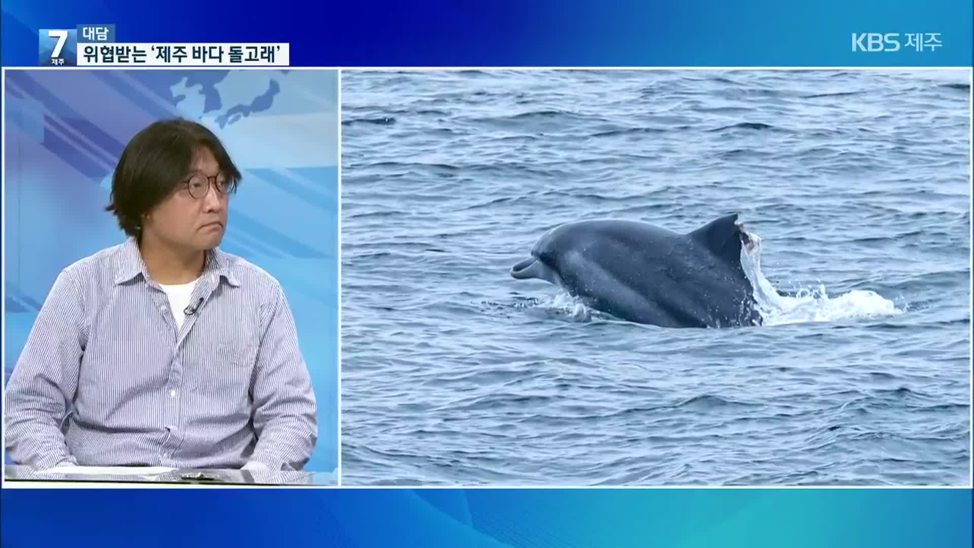 [대담] 곳곳에서 위협받는 제주 바다 돌고래들
