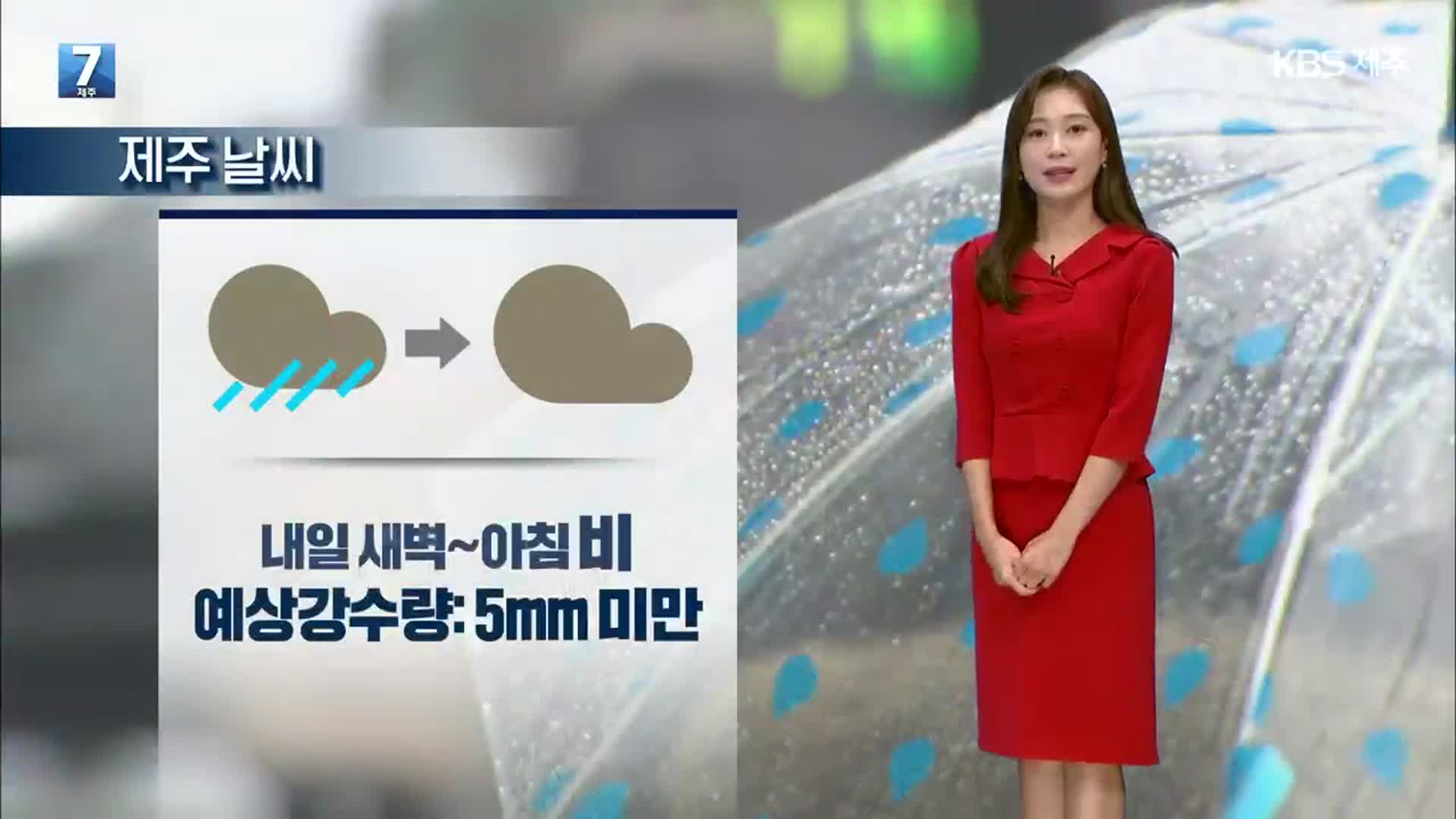 [날씨] 제주 내일 최저 기온 16도…대체로 흐리고 비