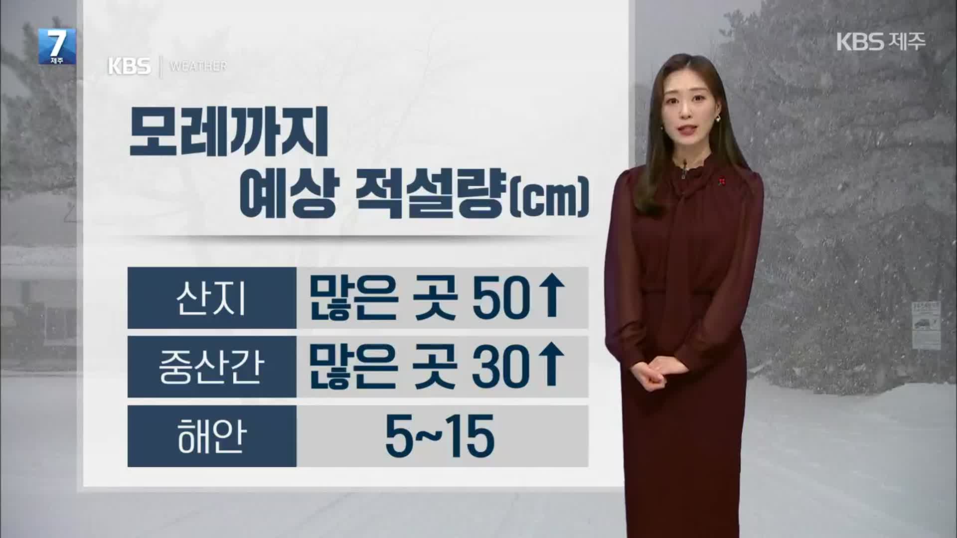 [날씨] 제주 모레까지 ‘최대 50cm’ 눈…폭설·강풍 대비하세요!