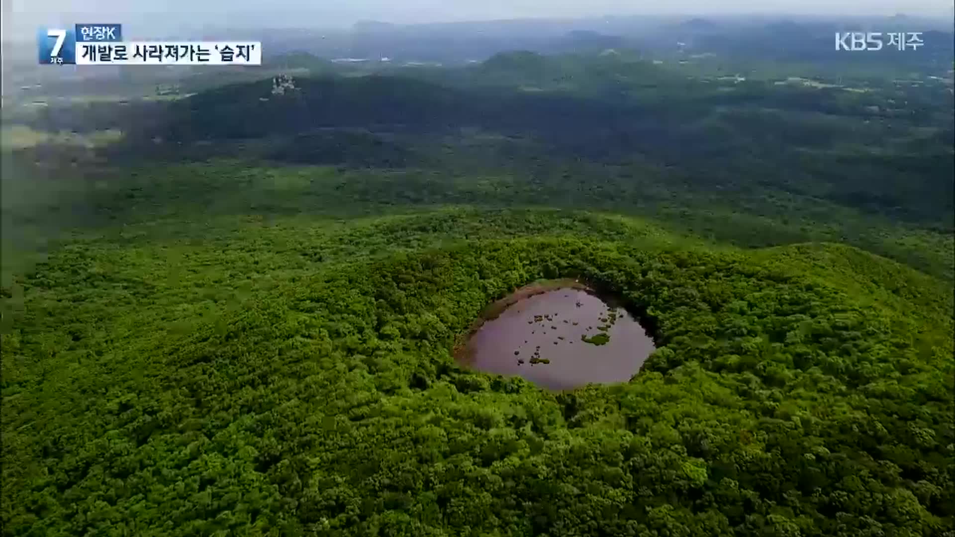 [현장K] 생명의 보고 ‘습지’…개발로 사라진다