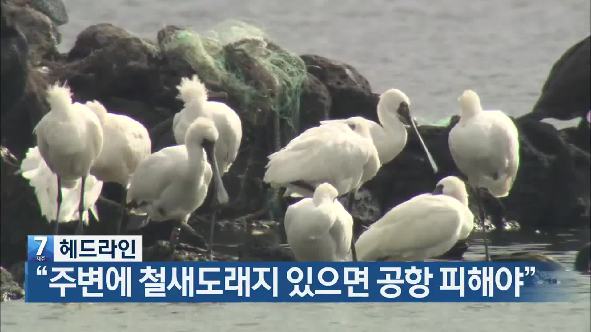 [뉴스7 제주 헤드라인]