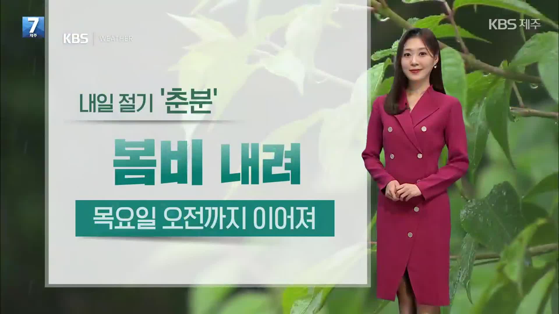 [날씨] 내일 절기 ‘춘분’…제주, 포근한 날씨 속 봄비 내려