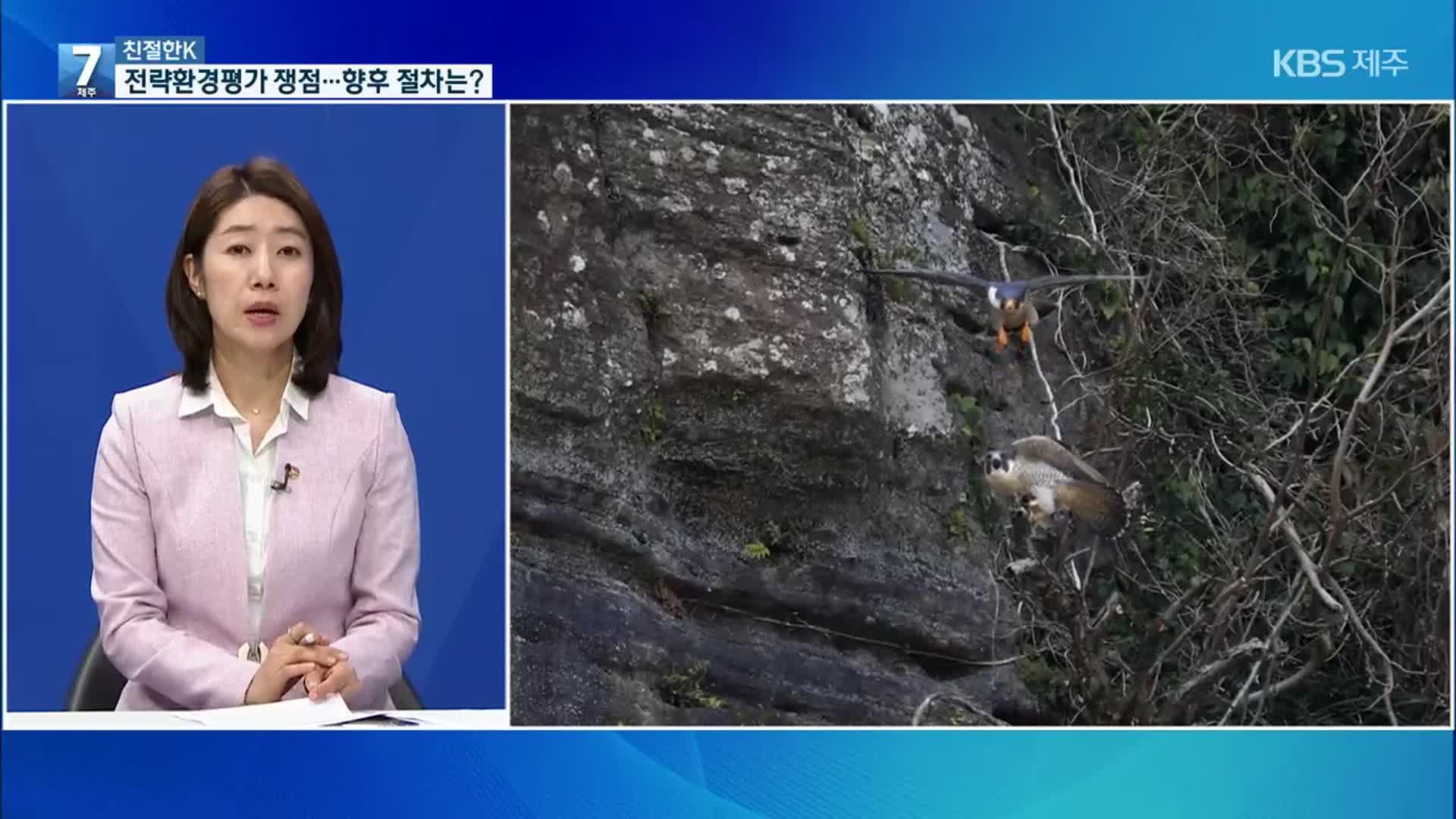 [친절한K] 제주 제2공항 전략환경영향평가 검증…경청회 등 일정은?