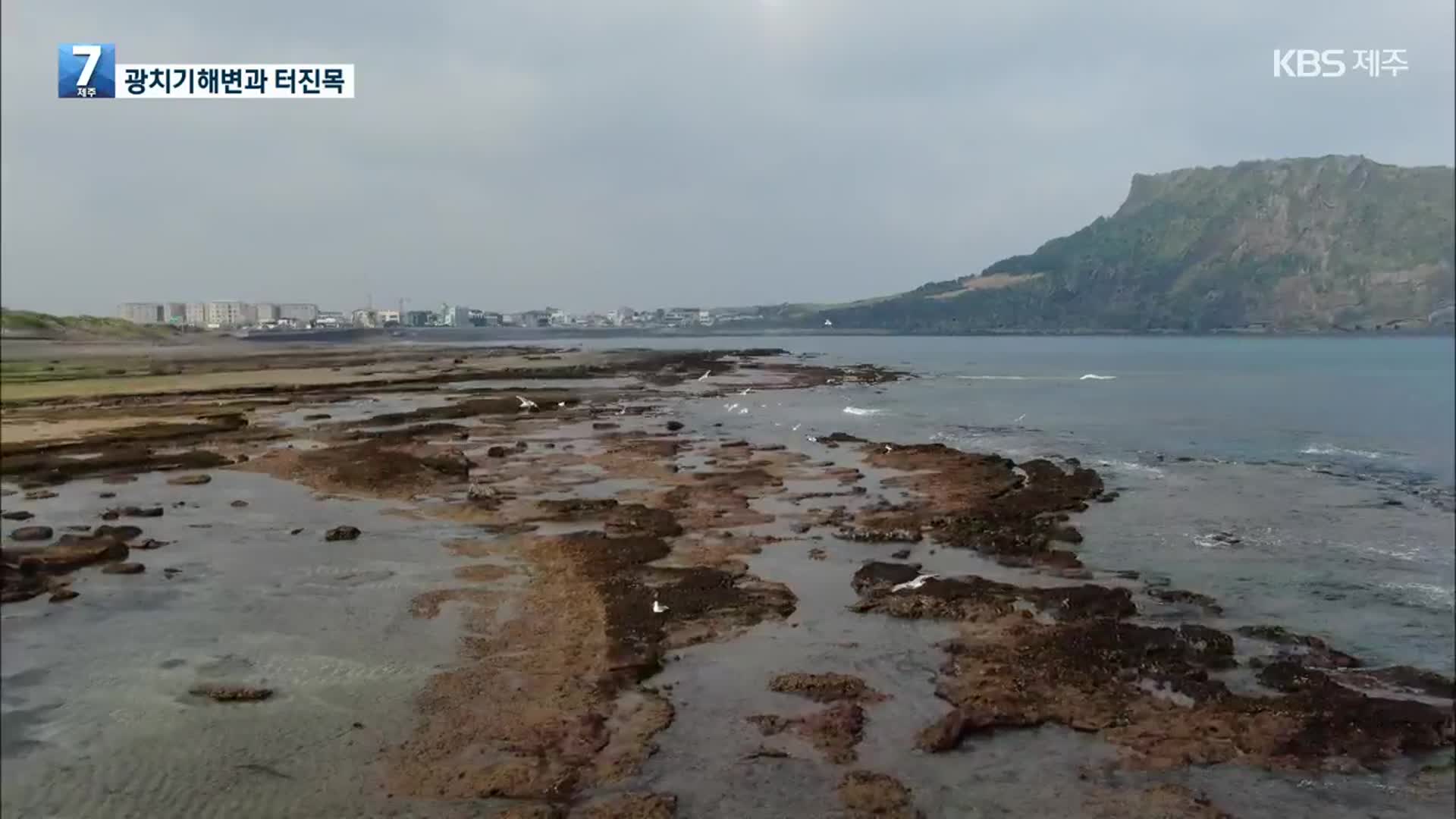 [하늘에서 본 제주] 4·3 아픔 간직한 ‘광치기해변’과 ‘터진목’