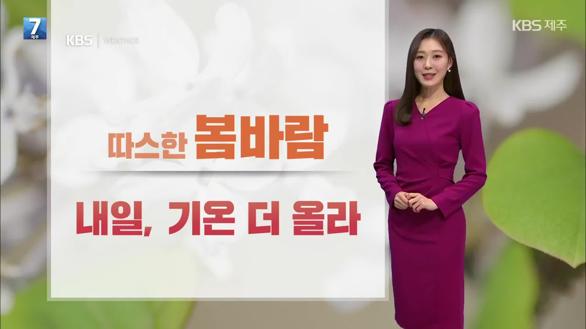 [날씨] 제주 내일, 따뜻하지만 일교차↑…늦은 오후~밤 ‘황사 비’