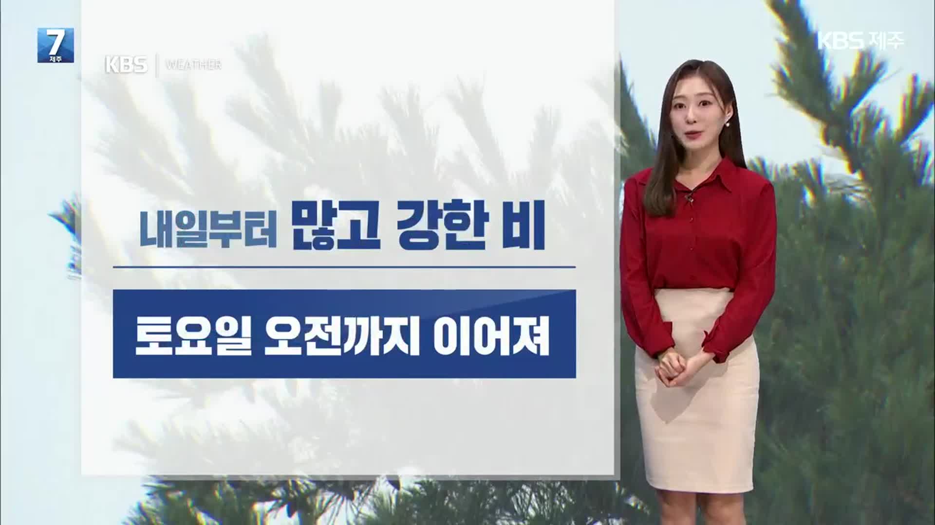 [날씨] 제주 내일부터 많고 강한 비…토요일 오전까지 이어져