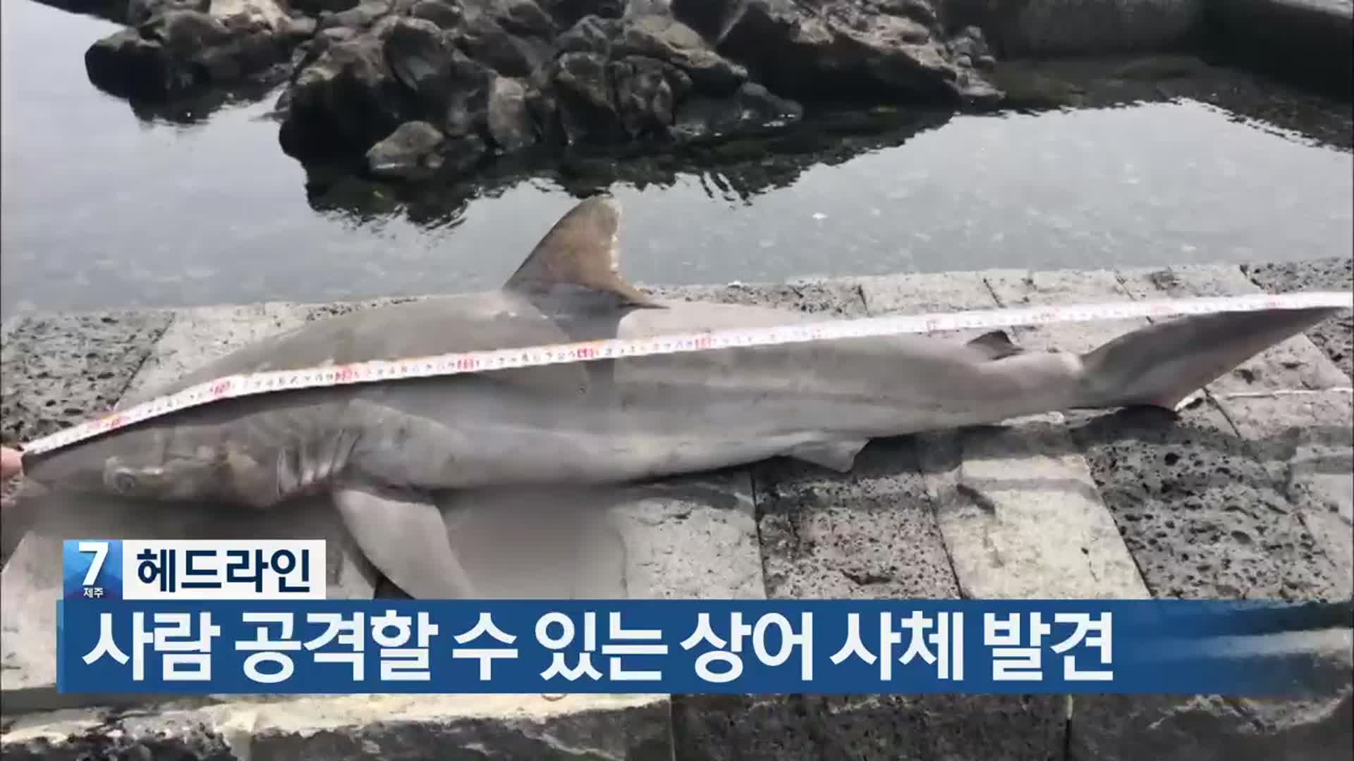 [뉴스7 제주 헤드라인]