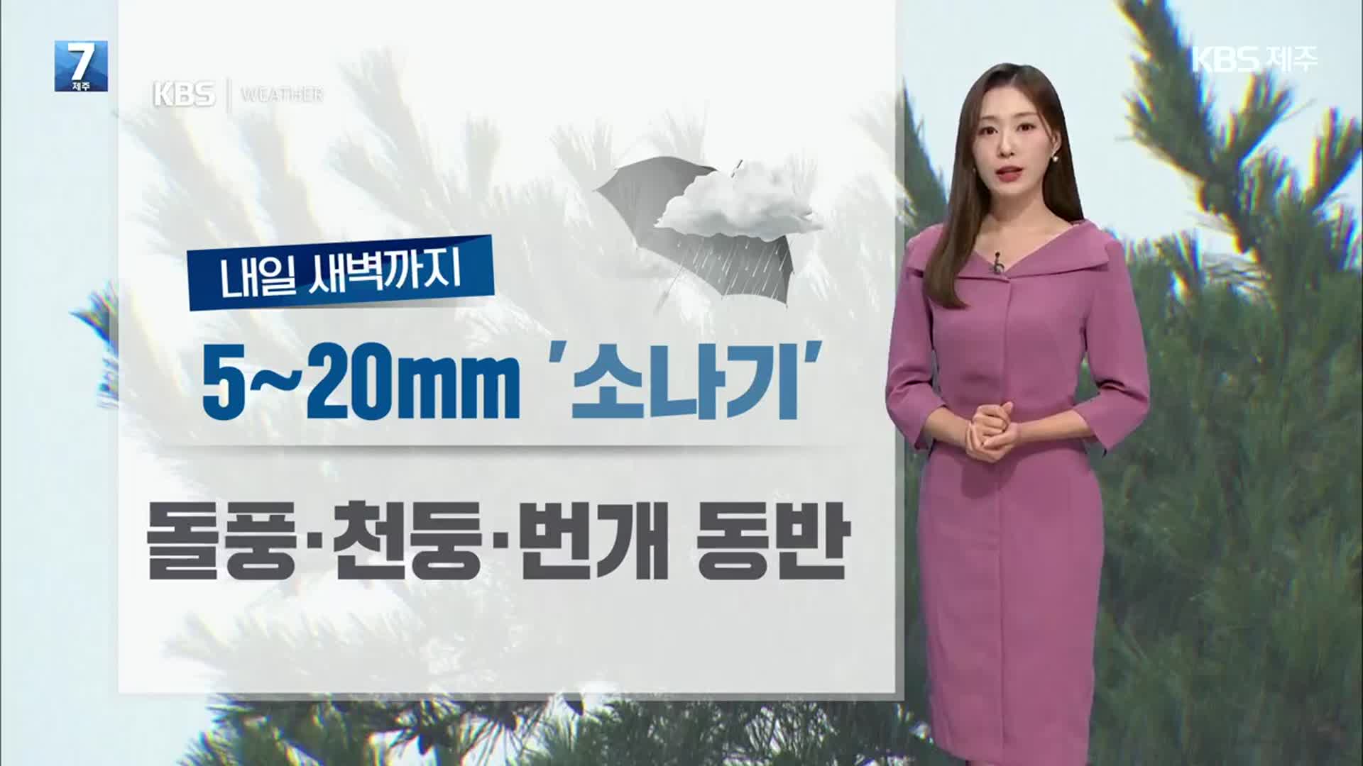 [날씨] 제주 내일 새벽까지 요란한 소나기…곳곳 바다 안개 유입