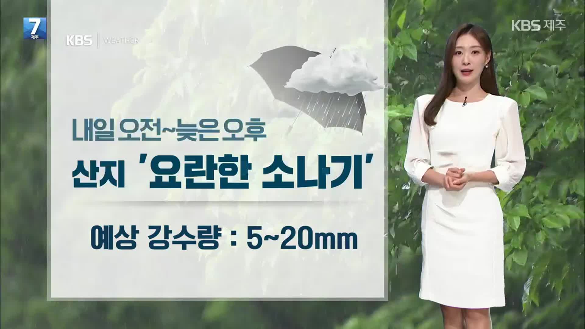 [날씨] 제주 산지 내일 요란한 소나기…한낮엔 더위 이어져
