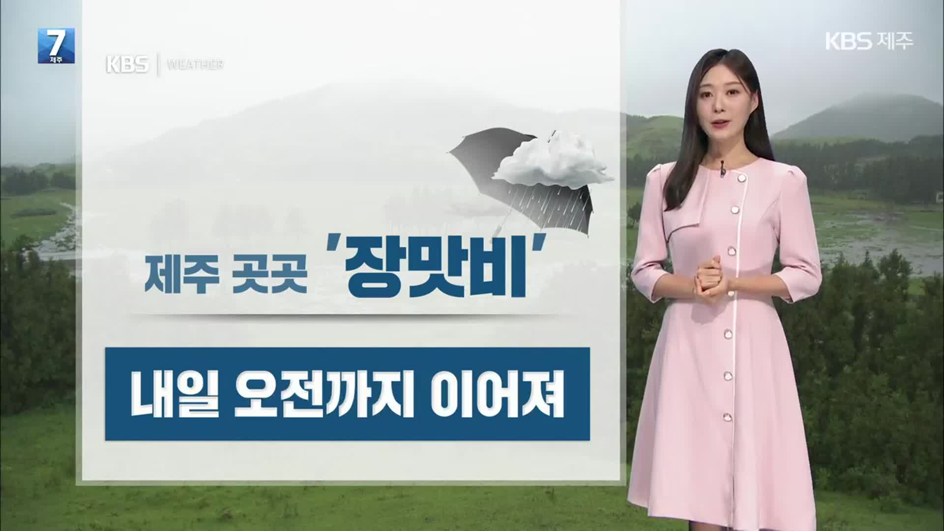 [날씨] 제주 내일 오전까지 비…비 그친 뒤, 기온 더 올라