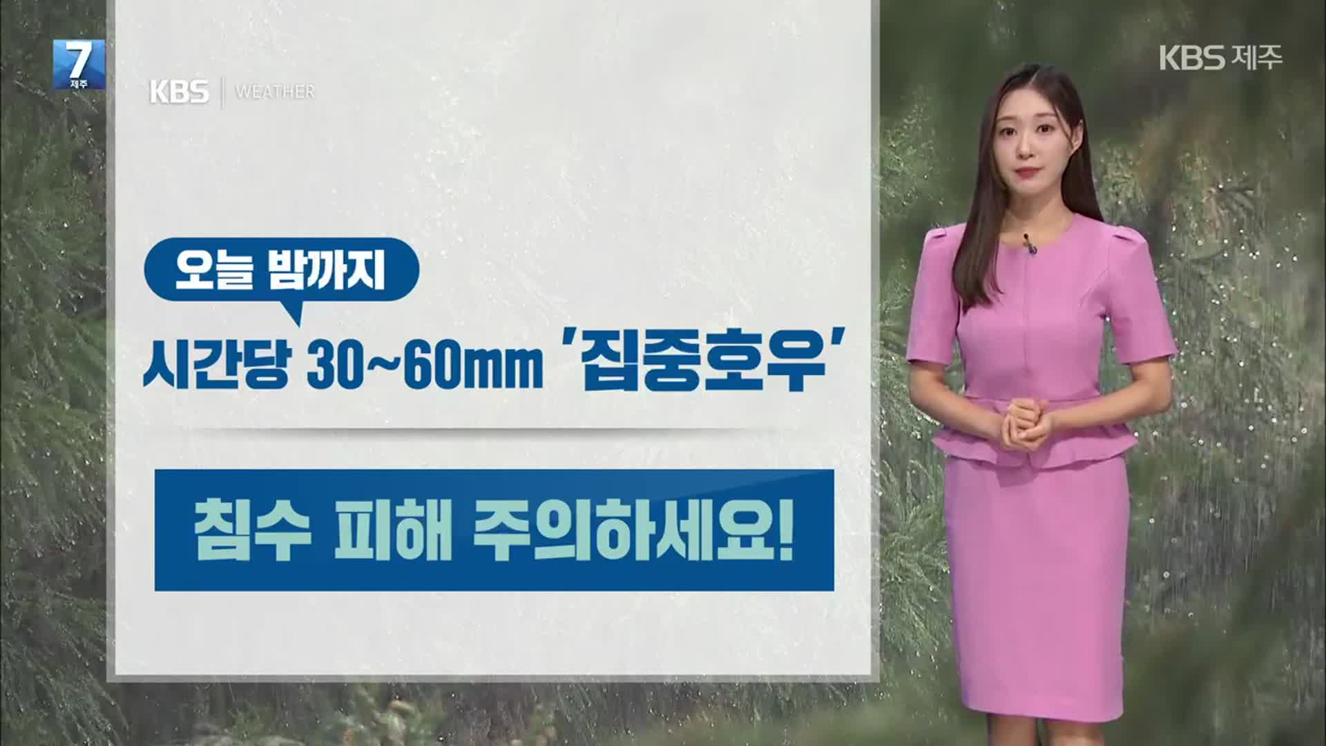 [날씨] 제주 오늘 밤까지 집중호우 주의…모레까지 최대 200mm↑