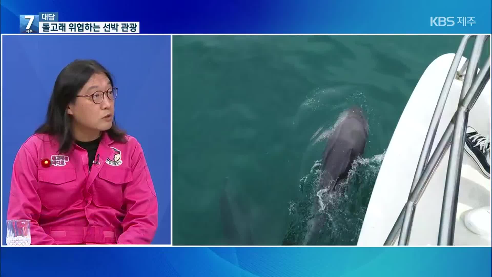 [대담] 돌고래 위협하는 선박 관광…실태는?