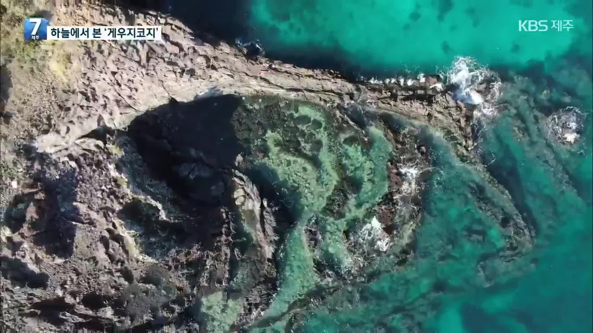 [하늘에서 본 제주] 게우지코지