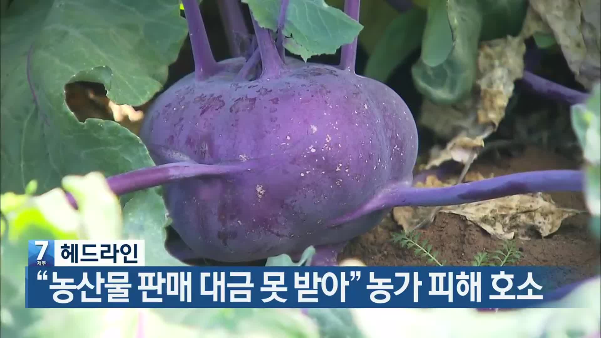 [뉴스7 제주 헤드라인]