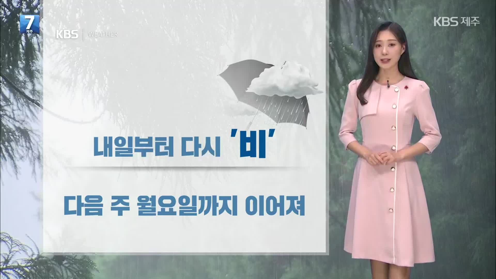 [날씨] 제주 내일부터 다시 비…기온은 더 올라 포근