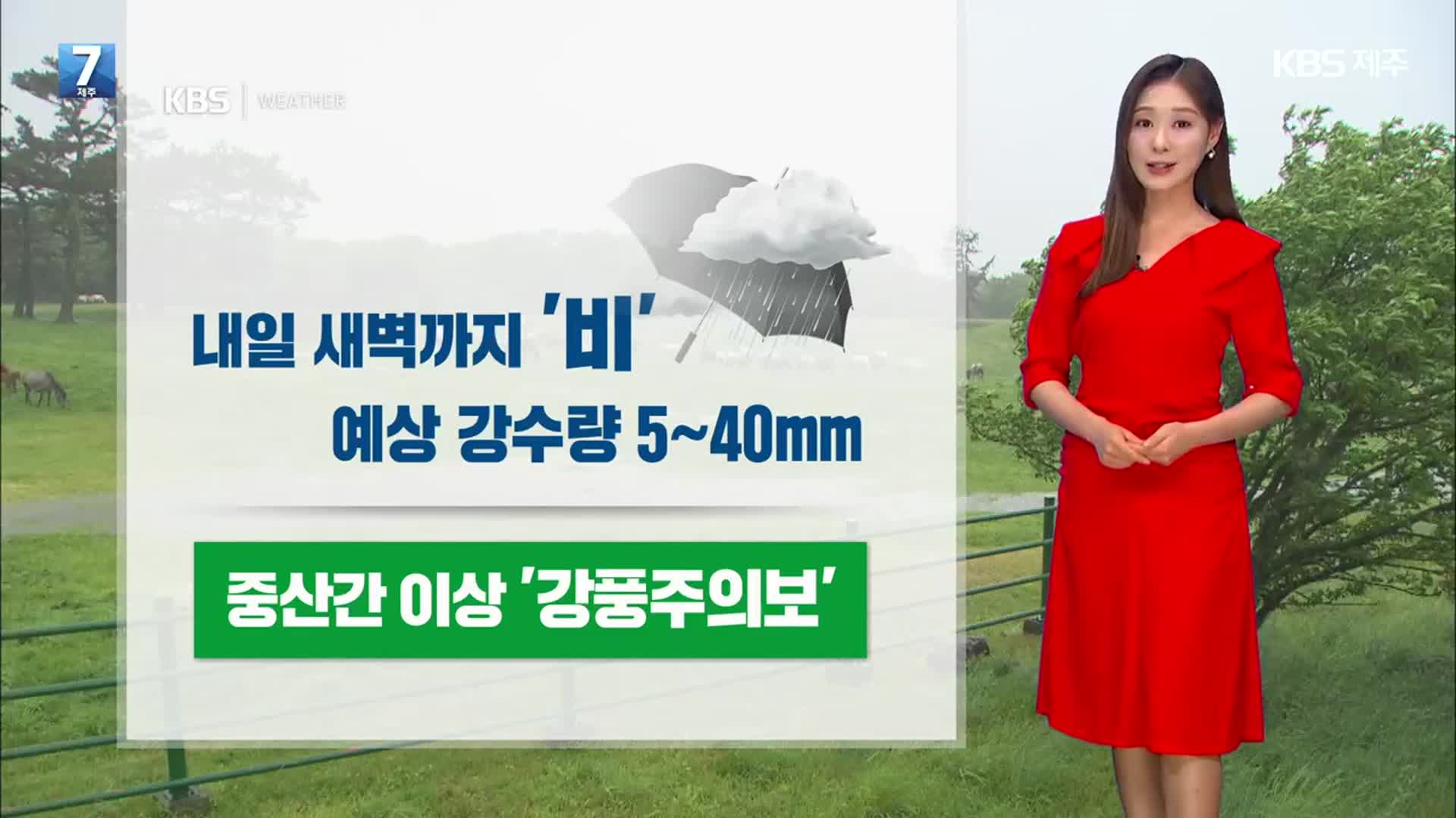 [날씨] 제주 내일 새벽까지 5~40mm ‘비’…강풍·풍랑 주의