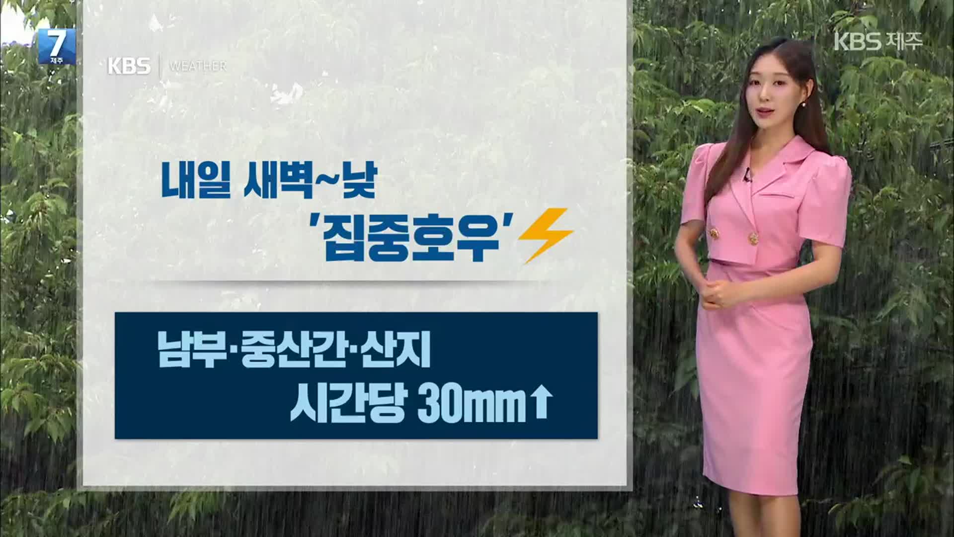 [날씨] 제주 다시 ‘장맛비’…내일 시간당 30mm↑ 집중호우