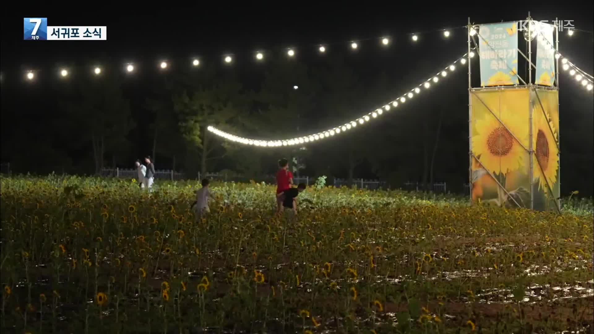 [서귀포 소식] 백록담 품은 ‘영천동 해바라기 축제’ 외