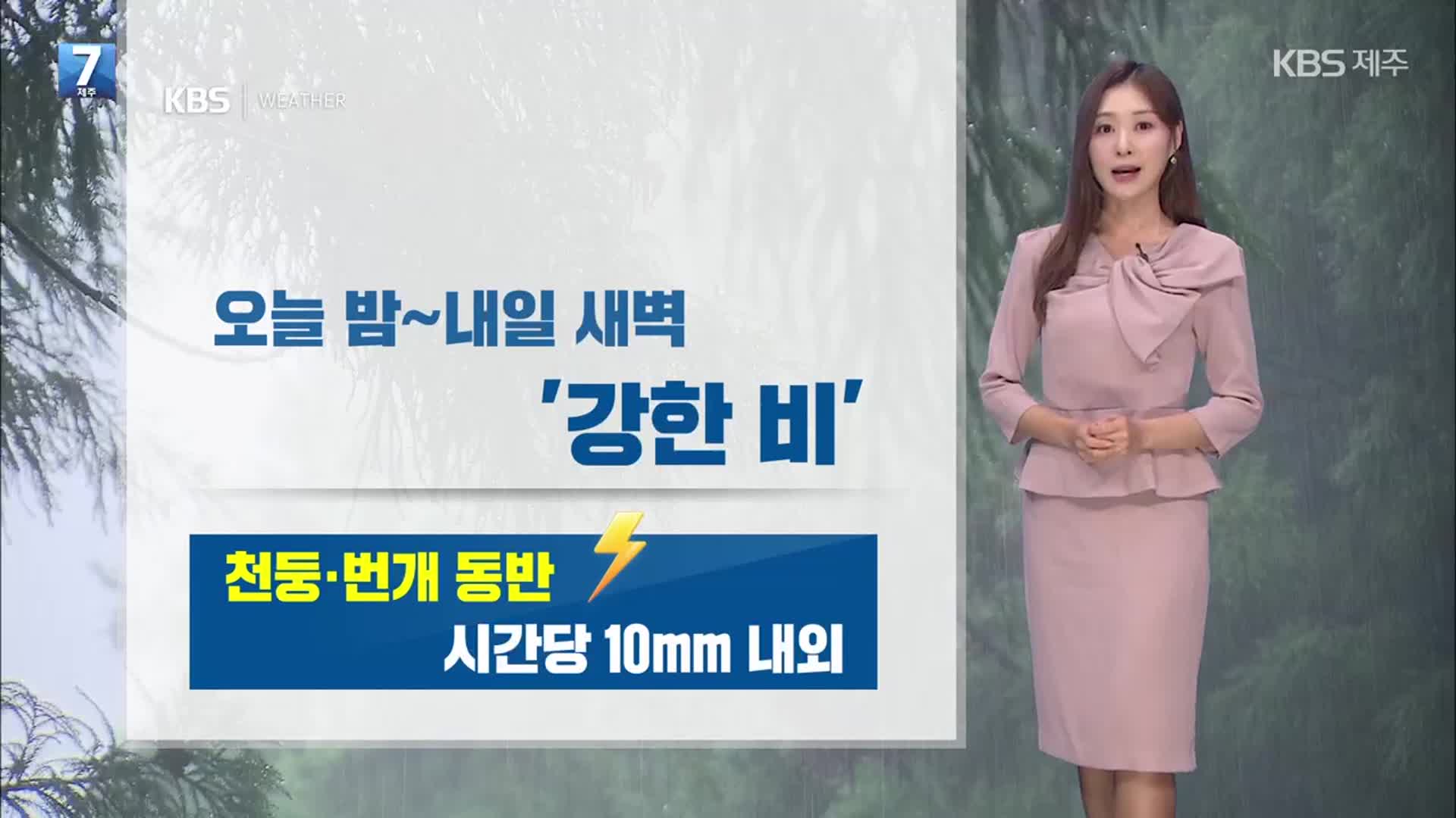 [날씨] 제주 밤사이 ‘강한 비’ 주의…내일 늦은 오후까지 10~60mm