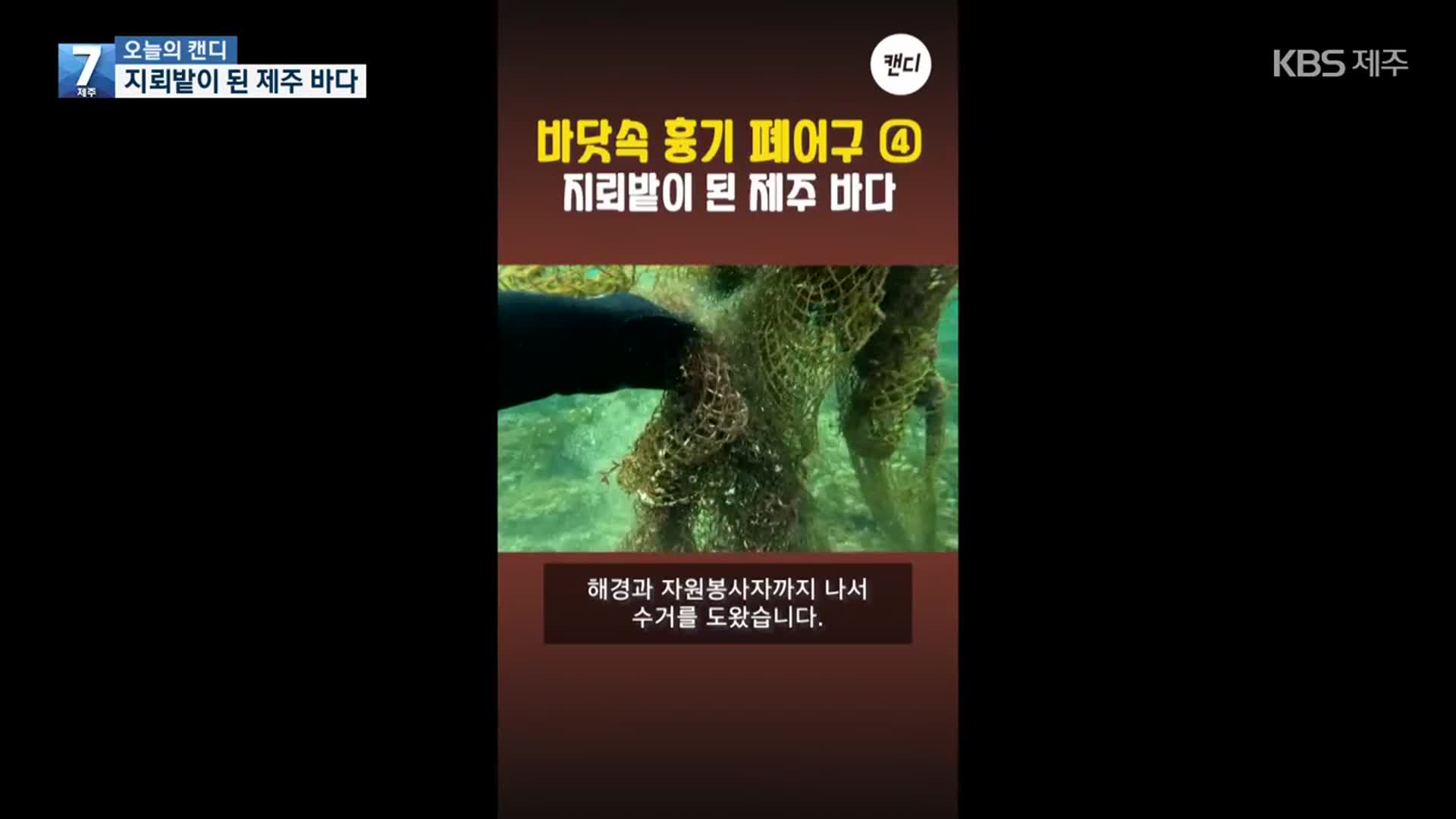 [오늘의 캔디] 지뢰밭이 된 제주 바다