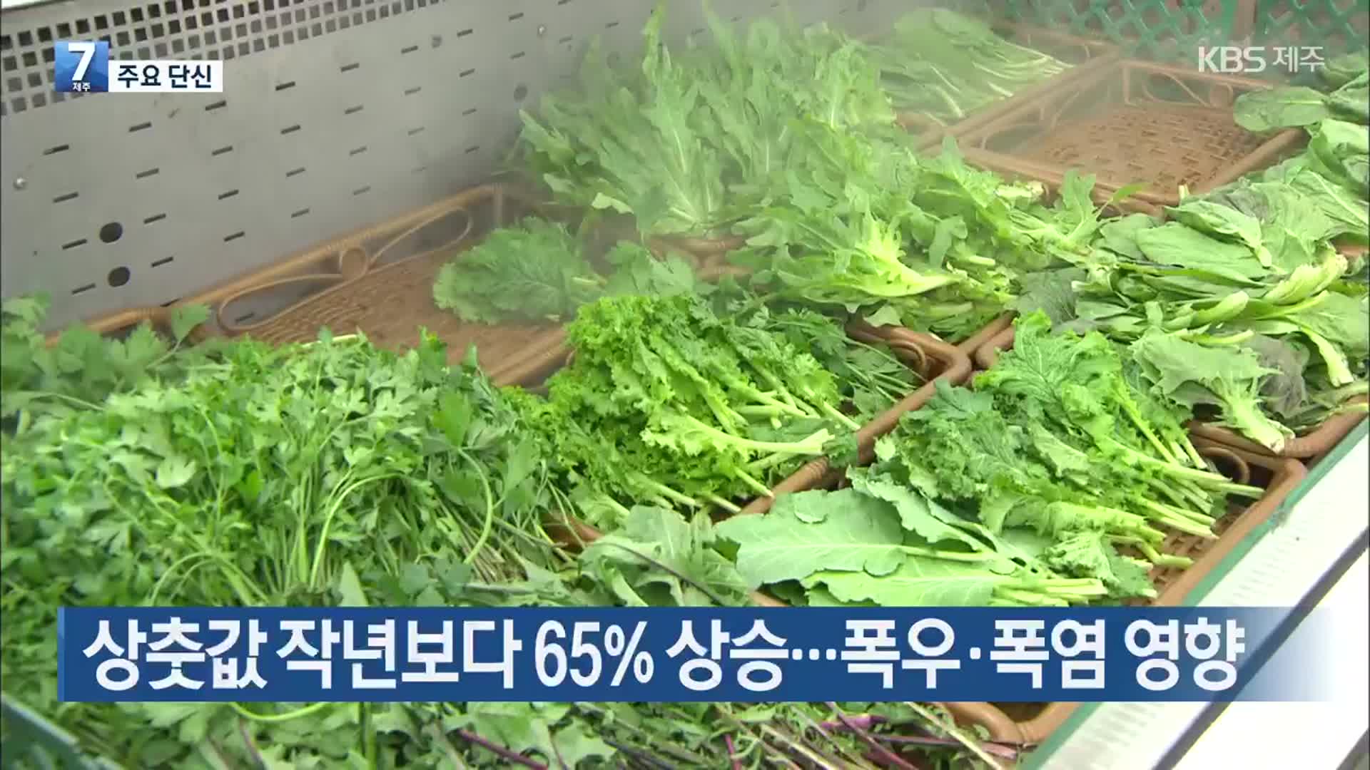 [주요 단신] 상춧값 작년보다 65% 상승…폭우·폭염 영향 외