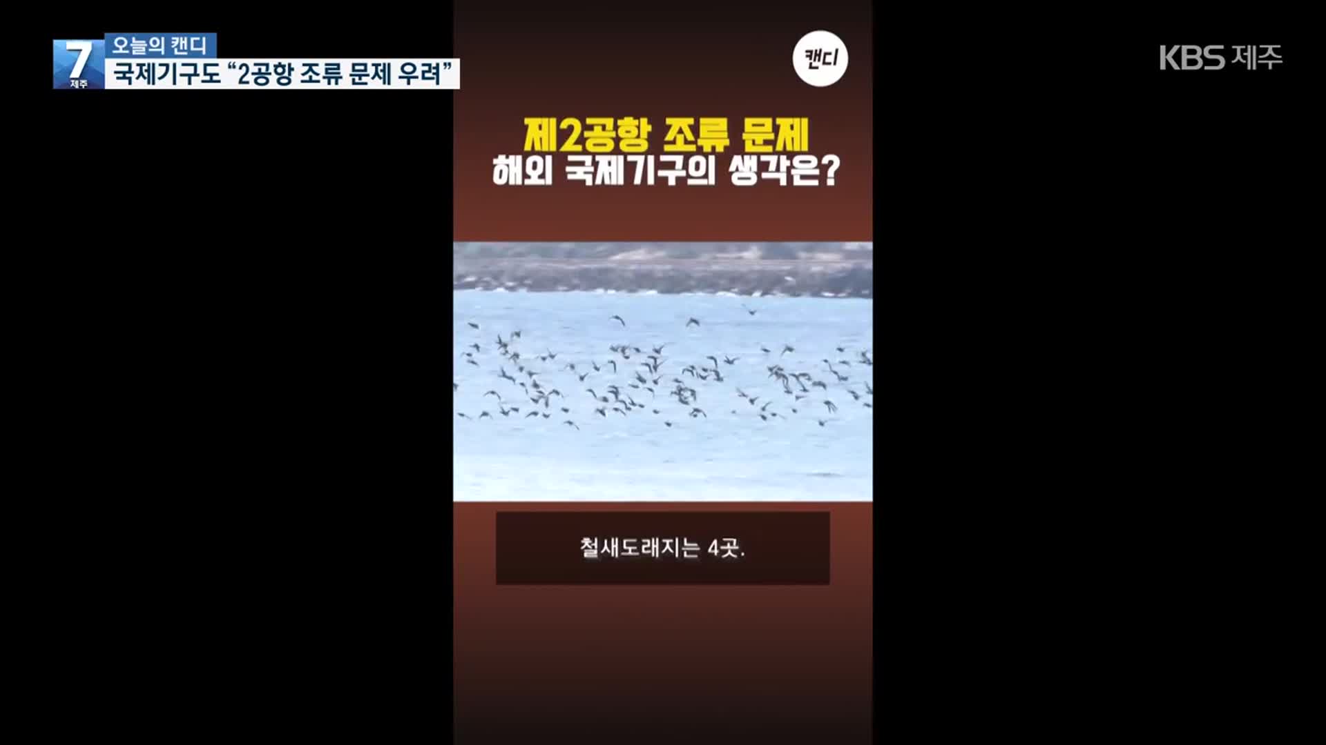 [오늘의 캔디] 국제기구도 “2공항 조류 문제 우려”