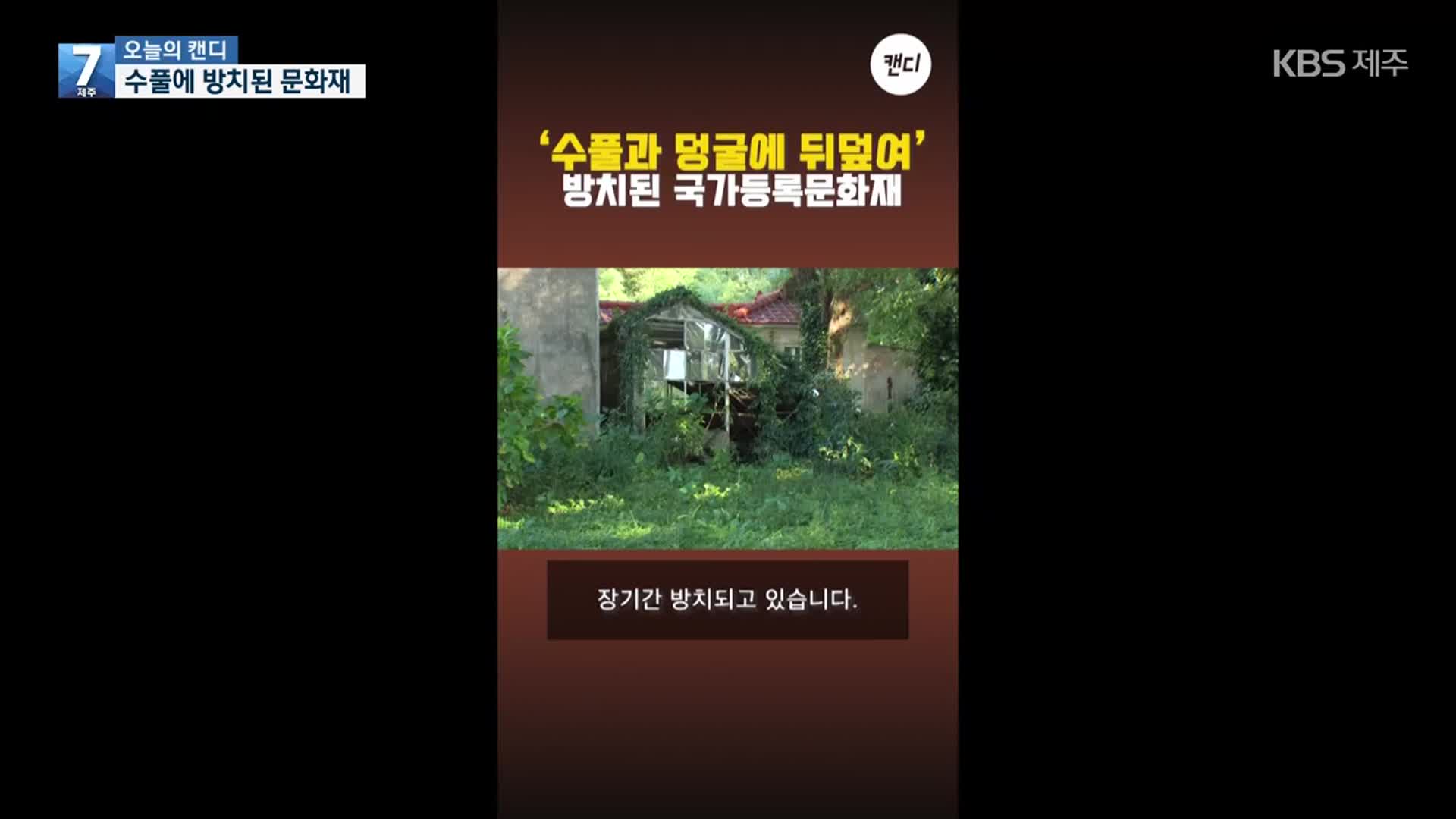 [오늘의 캔디] 수풀에 방치된 문화재