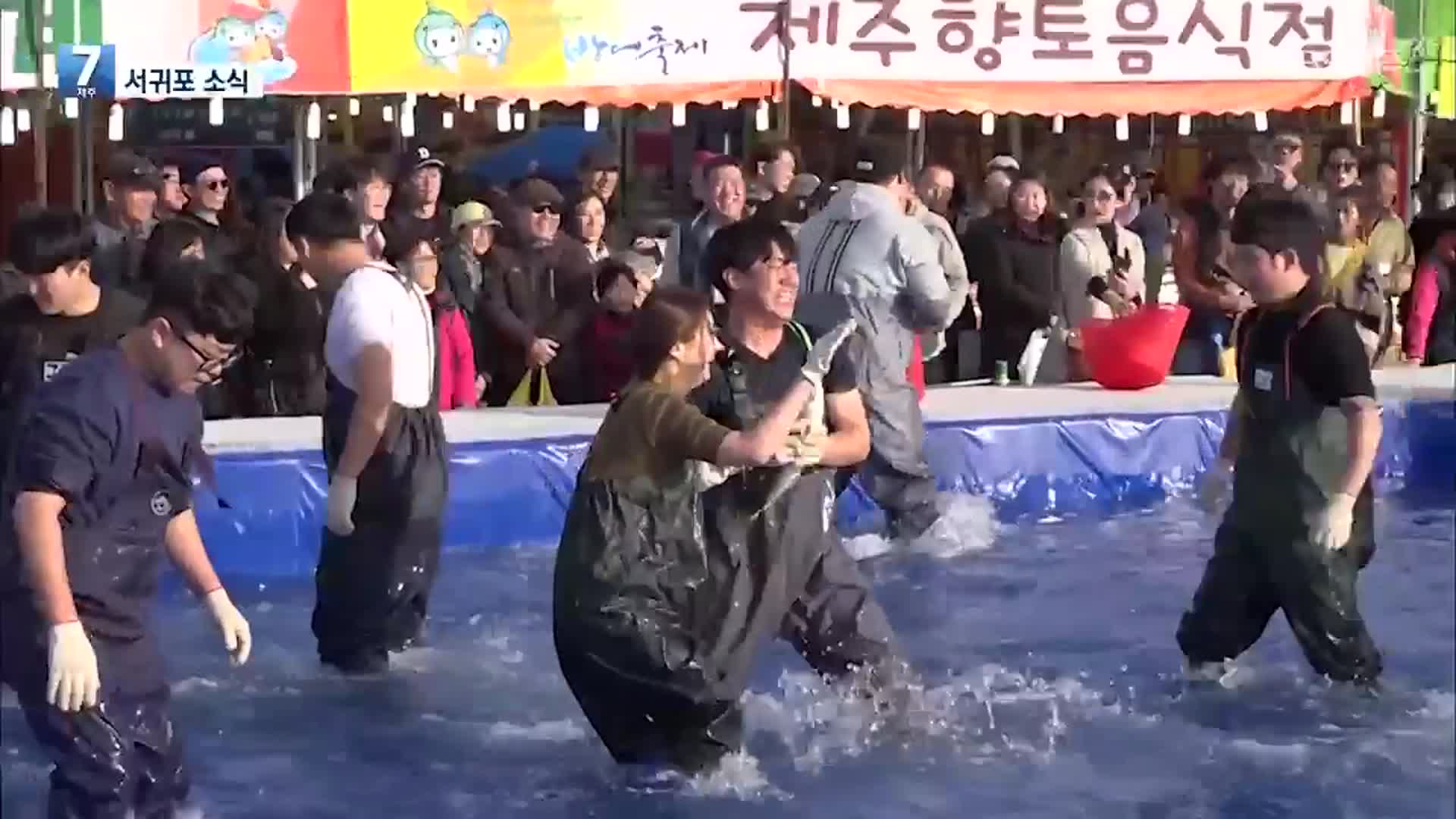 [서귀포 소식] 겨울철 서귀포시 대표 축제 ‘최남단 방어축제’로 오세요!