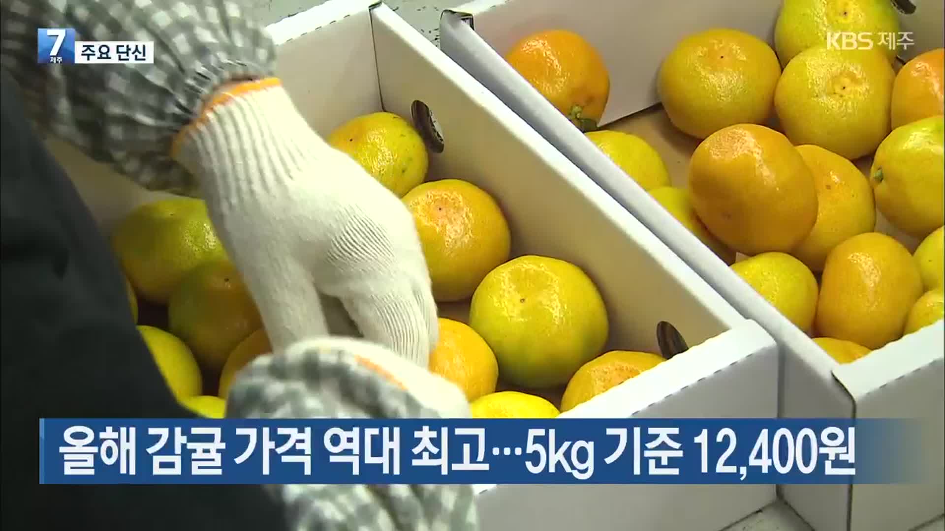 [주요 단신] 올해 감귤 가격 역대 최고…5kg 기준 12,400원 외