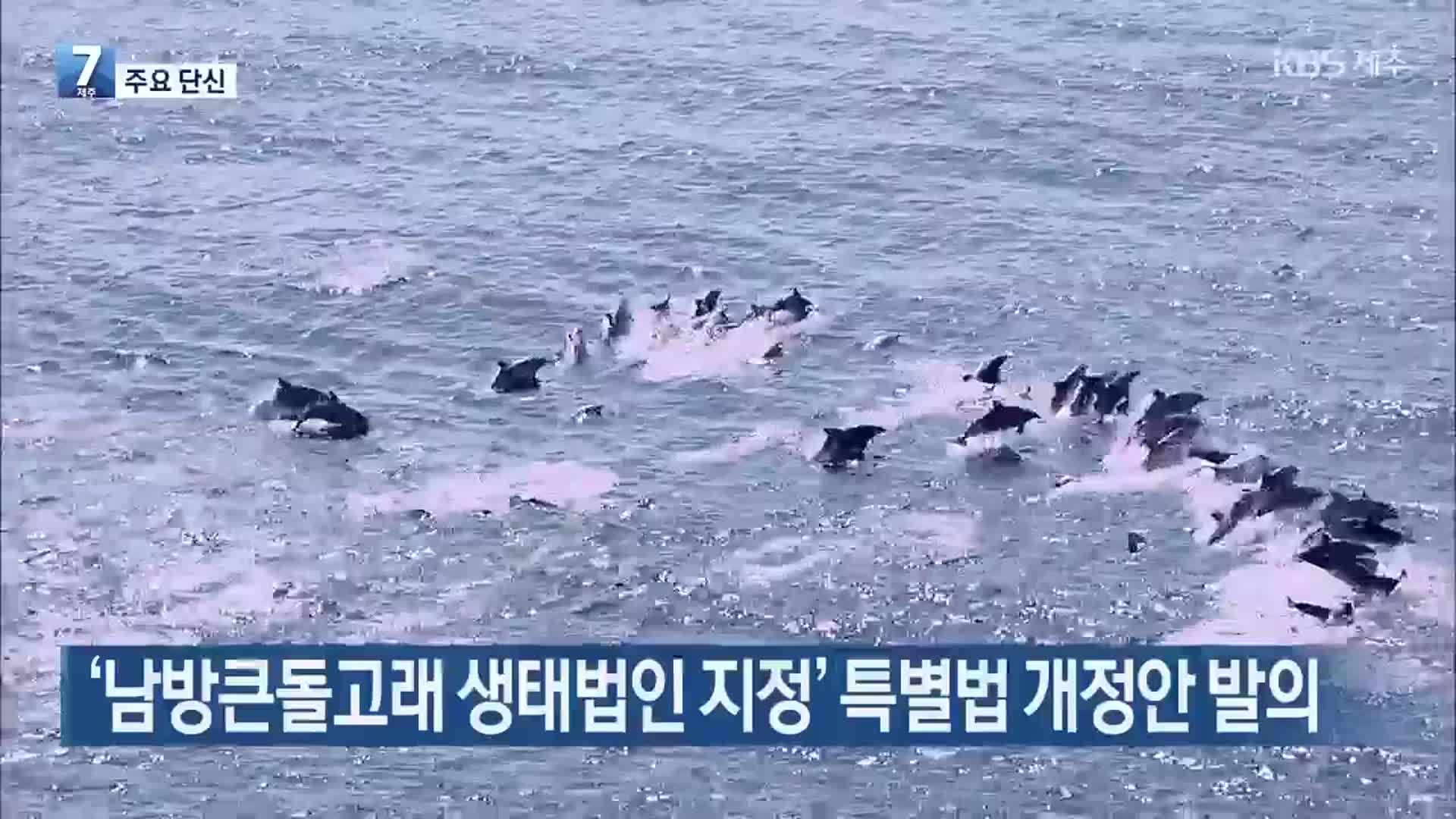 [주요 단신] ‘남방큰돌고래 생태법인 지정’ 특별법 개정안 발의 외