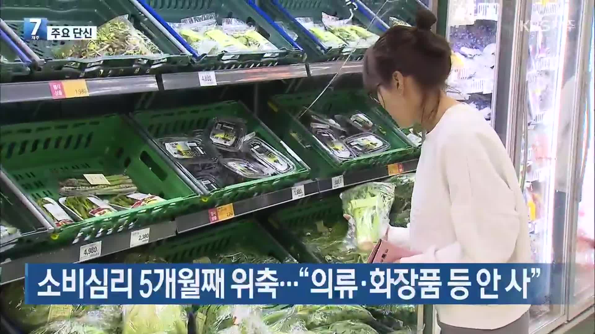 [주요 단신] 소비심리 5개월째 위축…“의류·화장품 등 안 사” 외