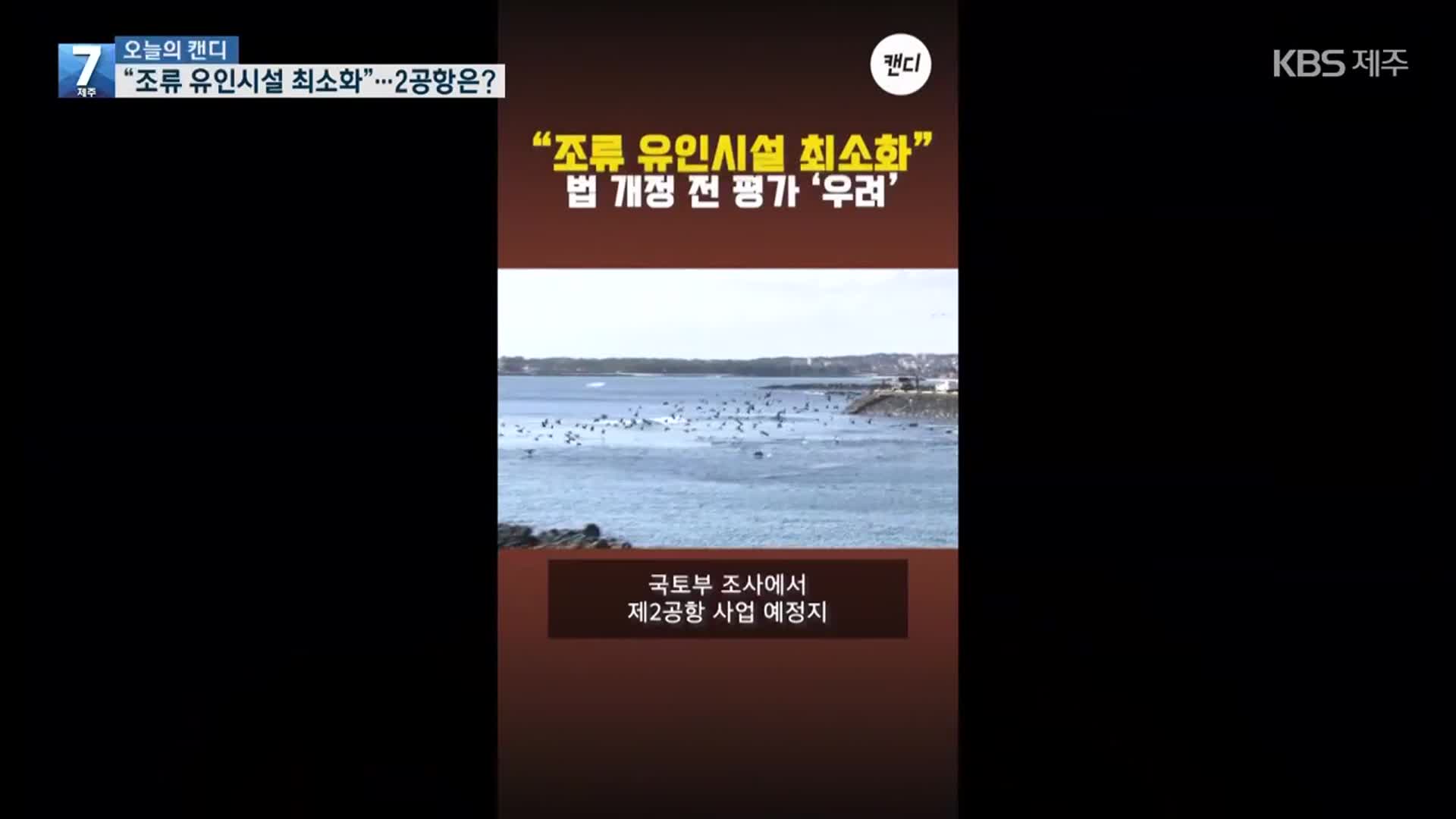 [오늘의 캔디] “조류 유인시설 최소화”…2공항은?