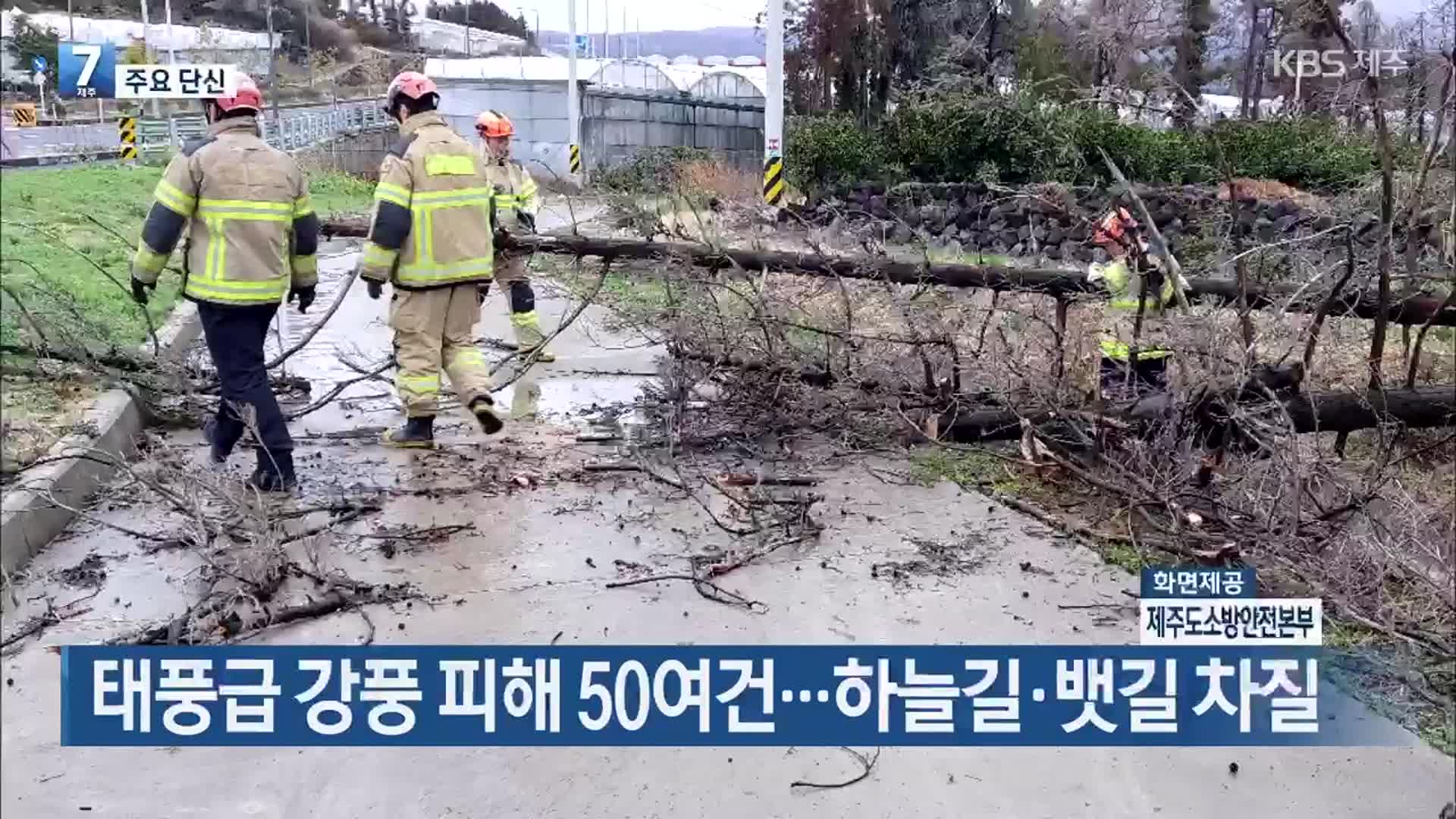 [주요 단신] 태풍급 강풍 피해 50여건…하늘길·뱃길 차질 외