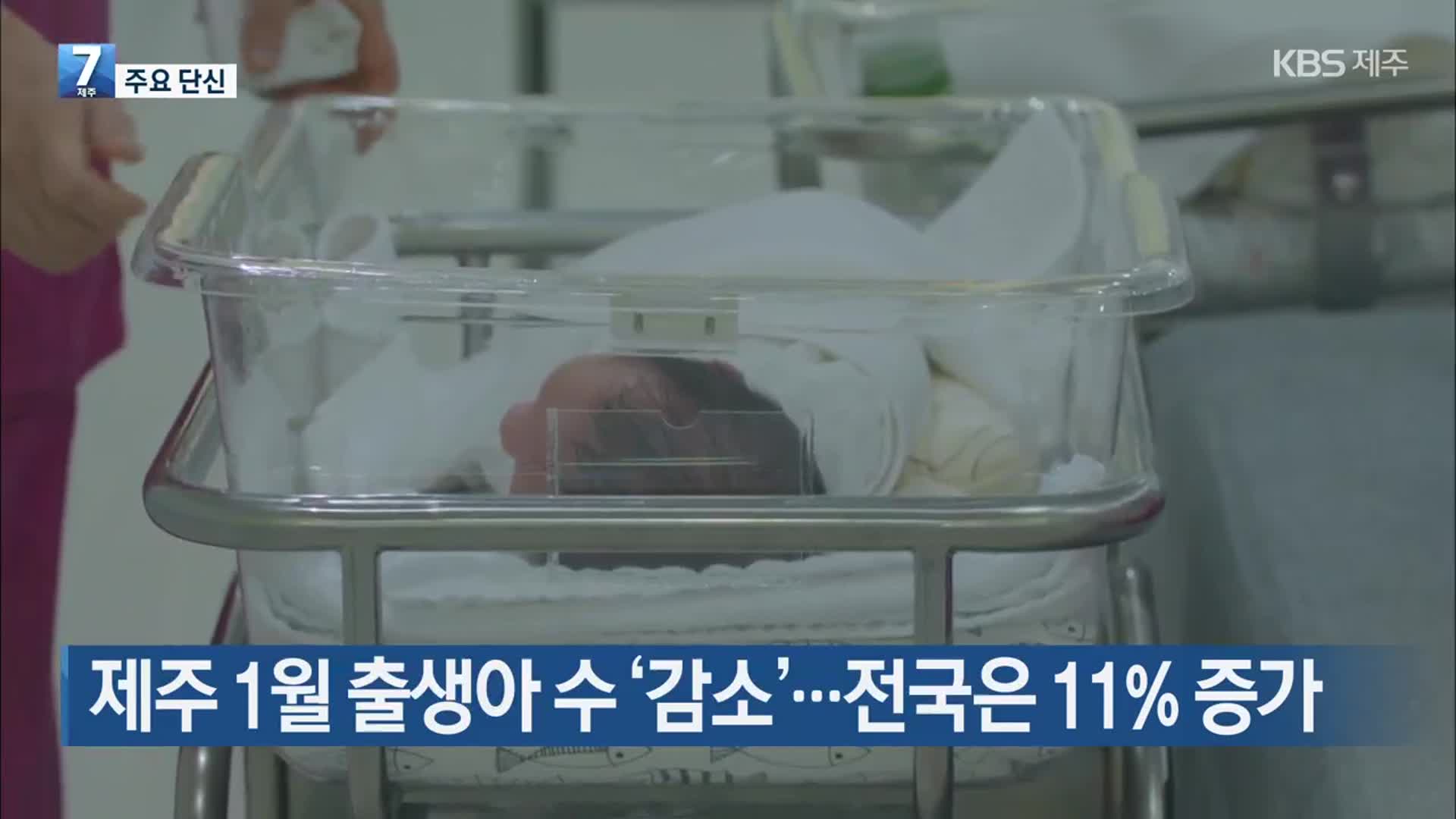 [주요 단신] 제주 1월 출생아 수 ‘감소’…전국은 11% 증가 외