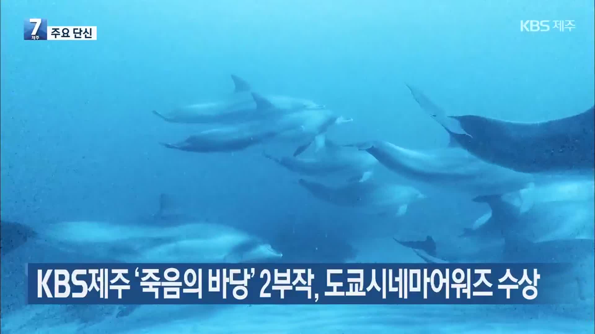 [주요 단신] KBS제주 ‘죽음의 바당’ 2부작, 도쿄시네마어워즈 수상 외