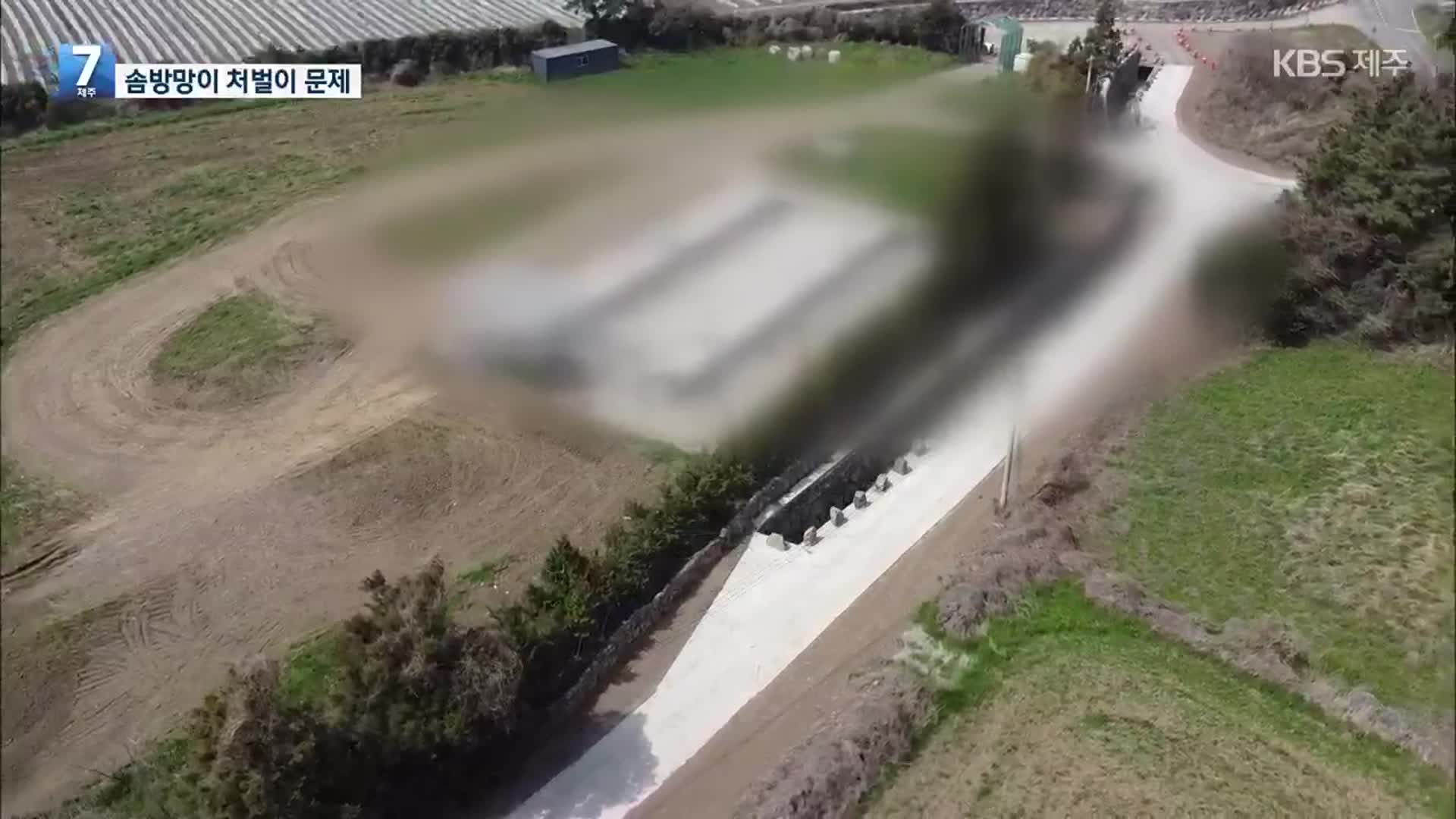 몰래 버리고 또 버려도 버젓이 영업…“처벌 조항 강화해야”