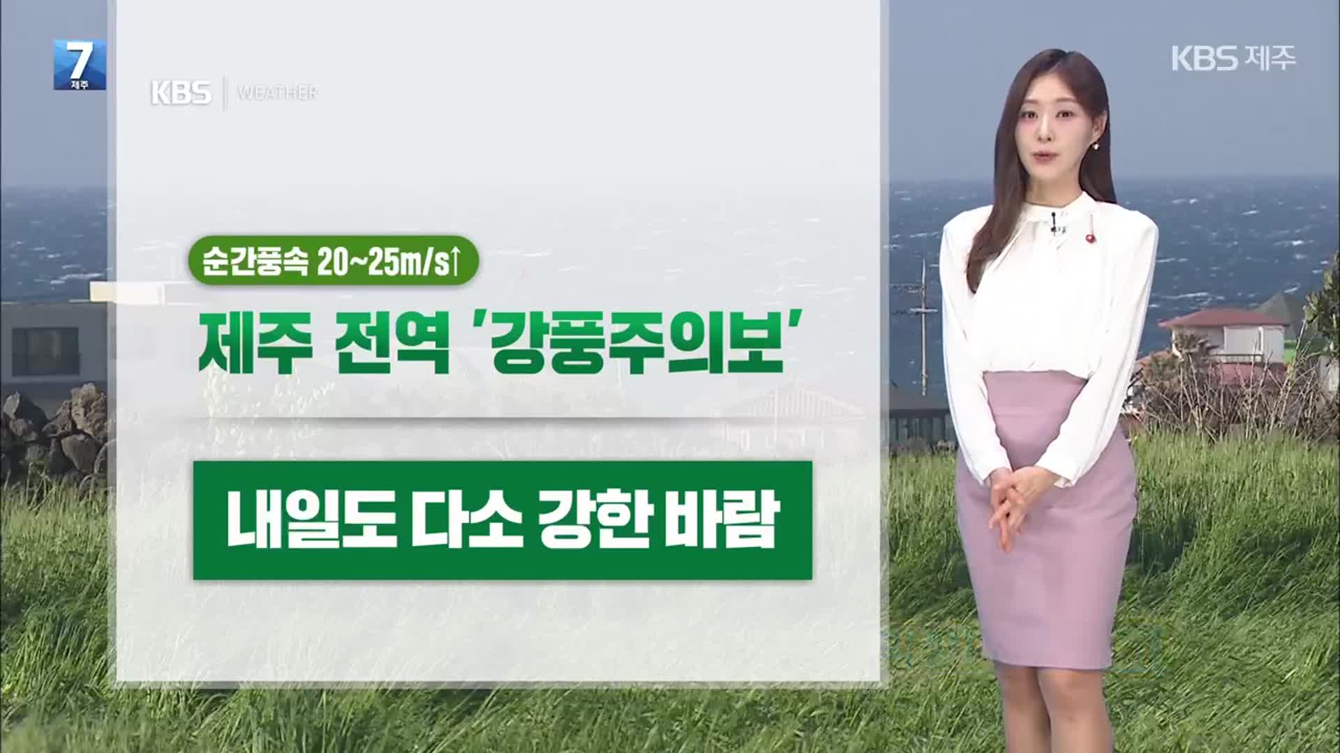[날씨] 제주 전역 강풍주의보·거센 바람…내일도 쌀쌀해